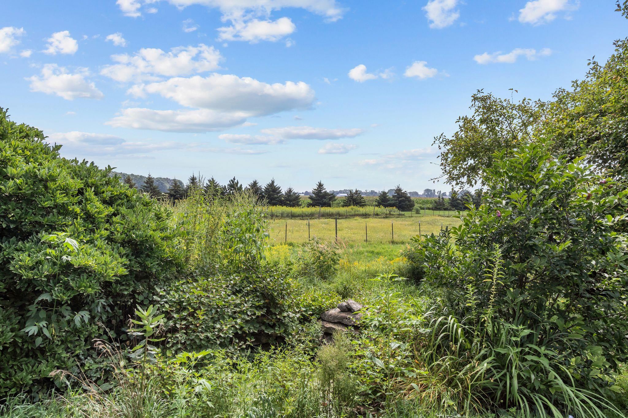 Property photo 41