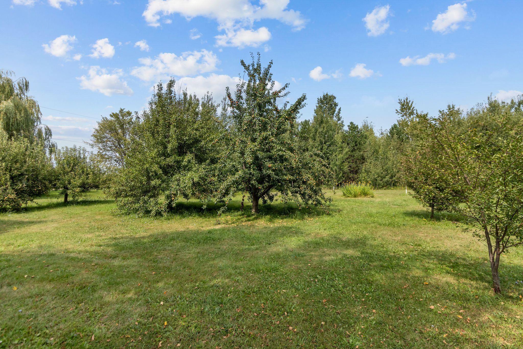 Property photo 42
