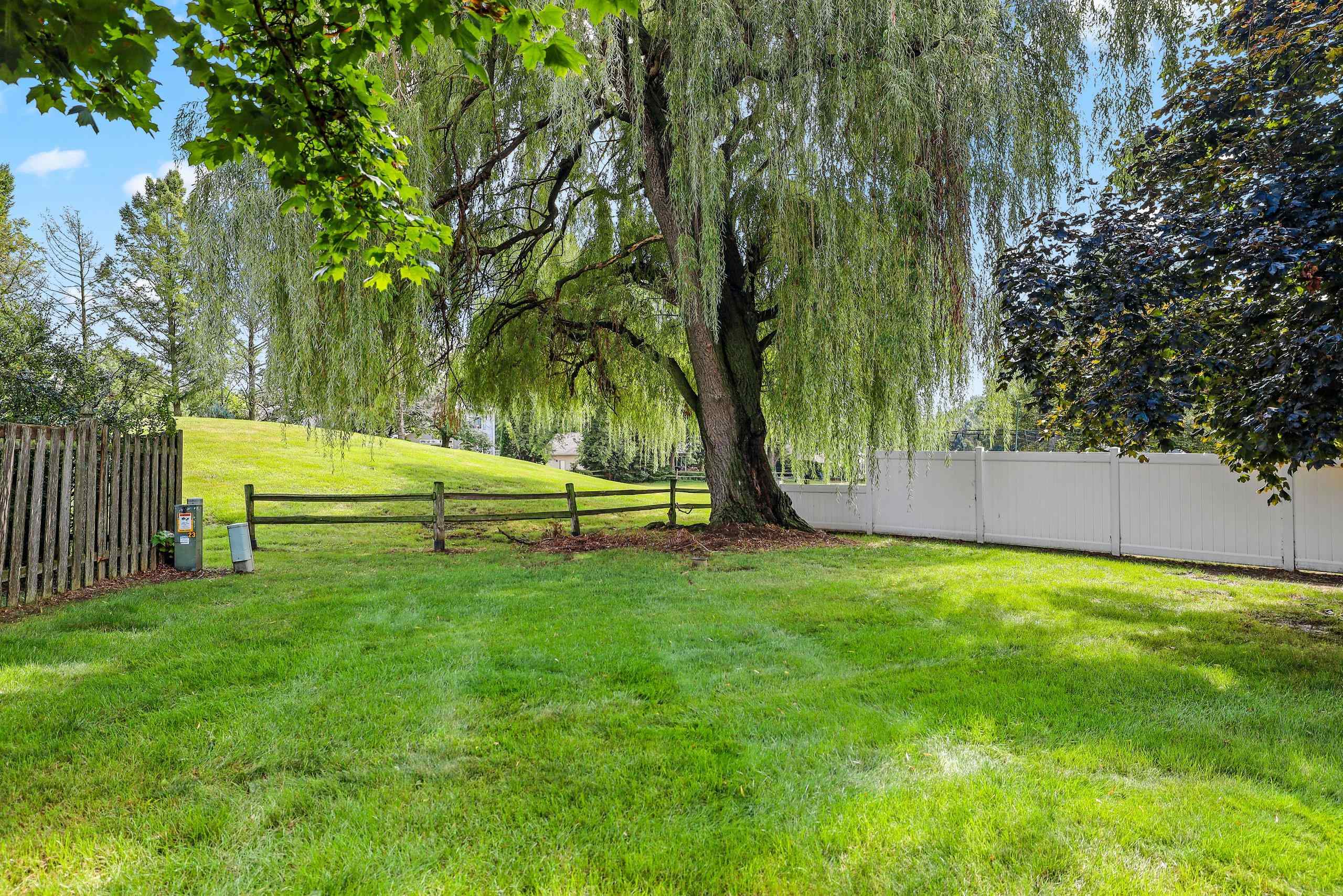 Property photo 44