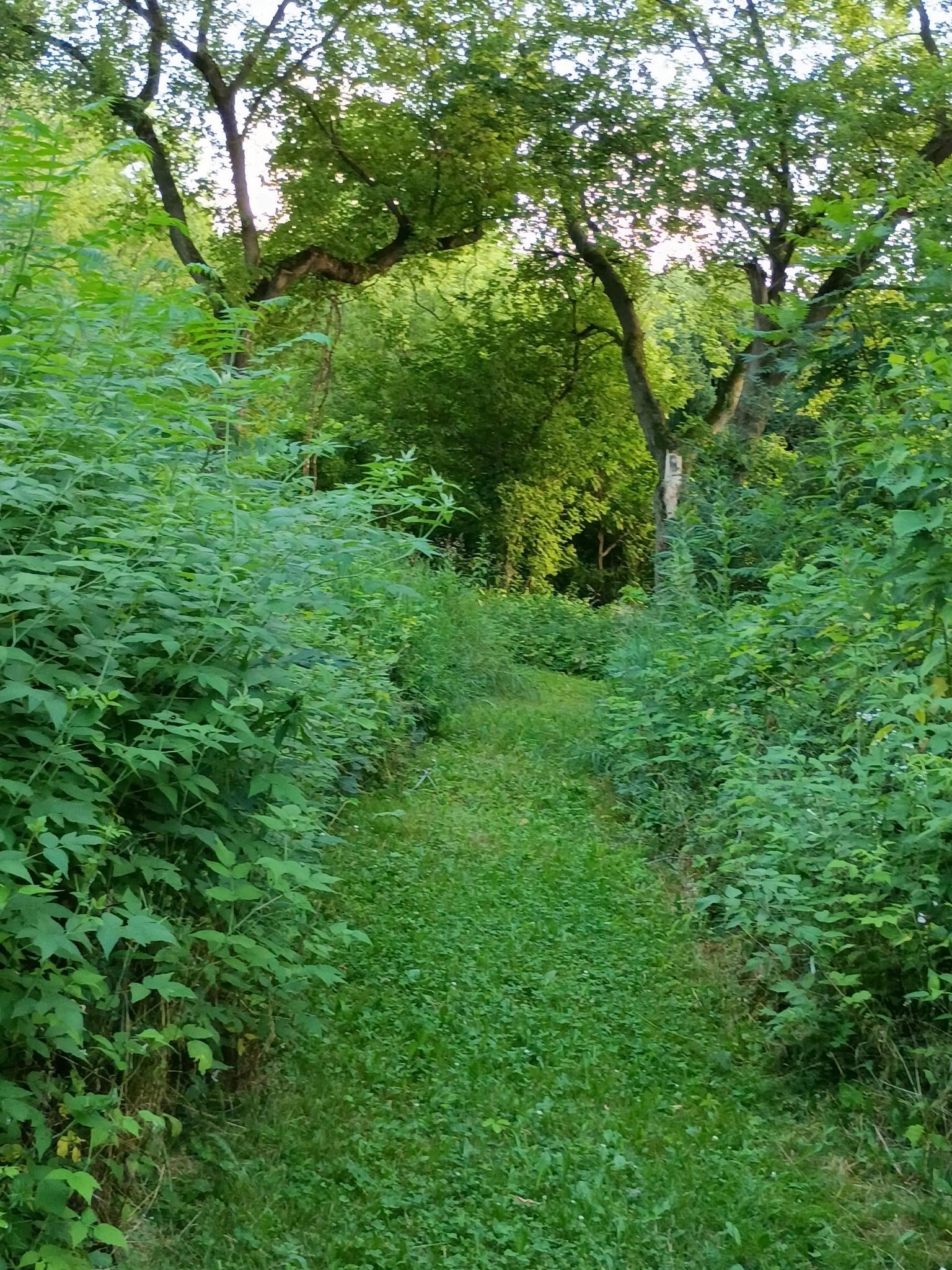 Property photo 11