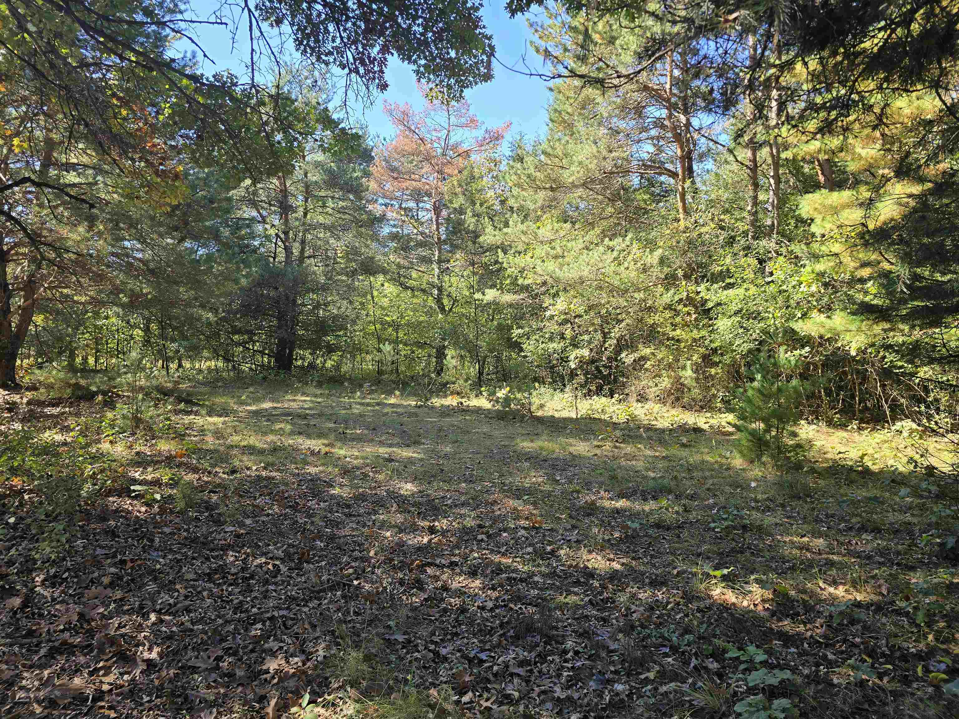 Property photo 22