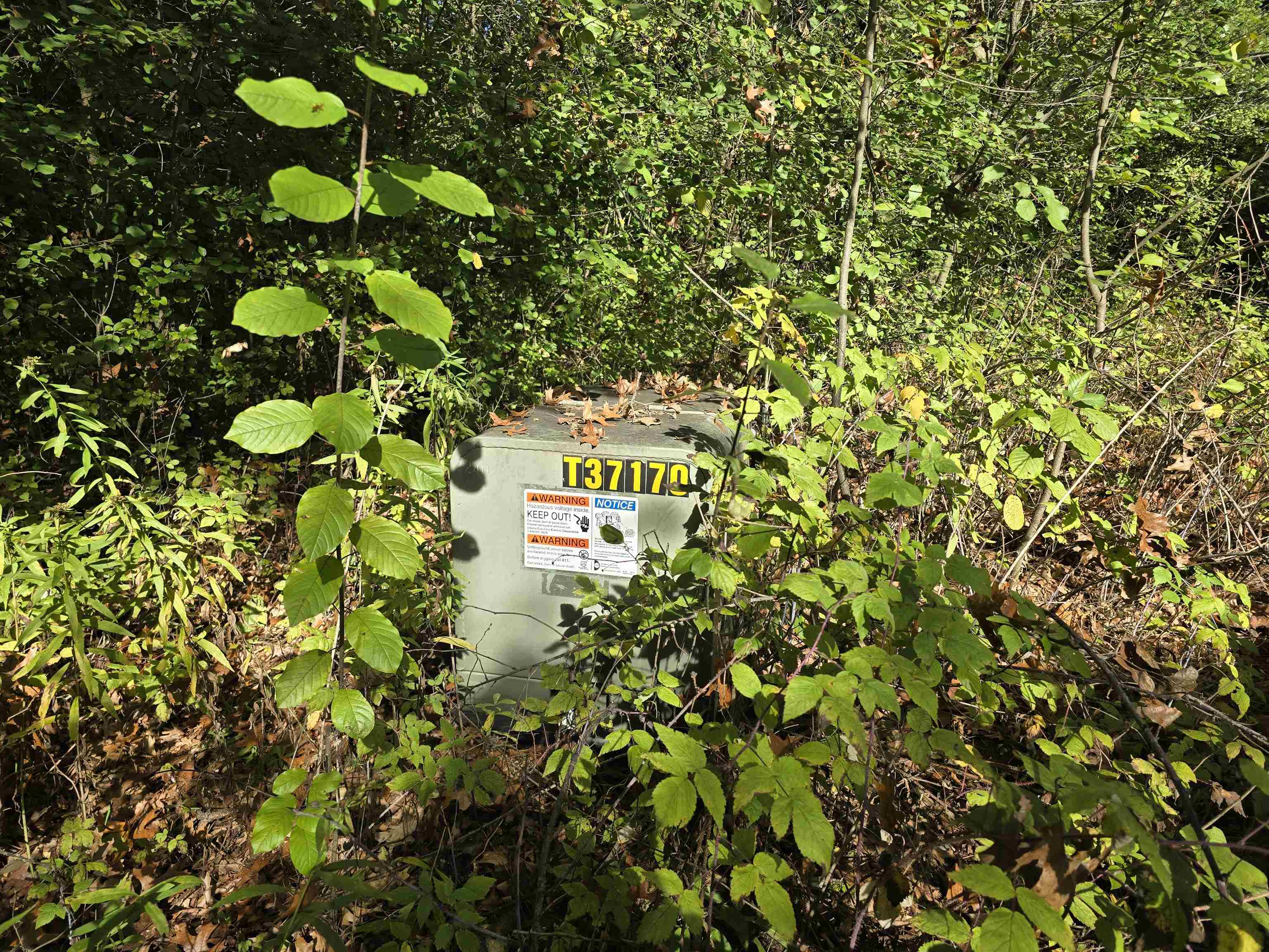 Property photo 23