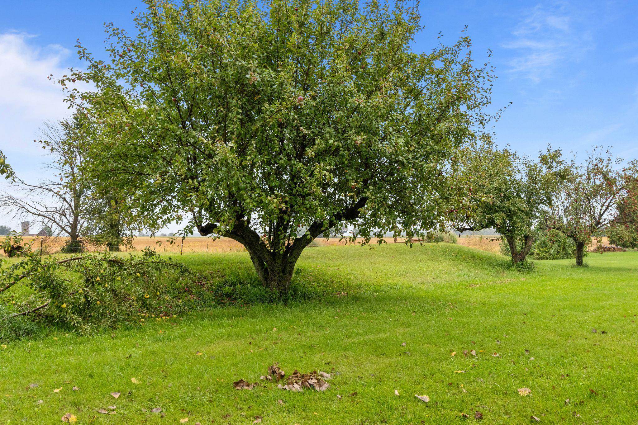 Property photo 42