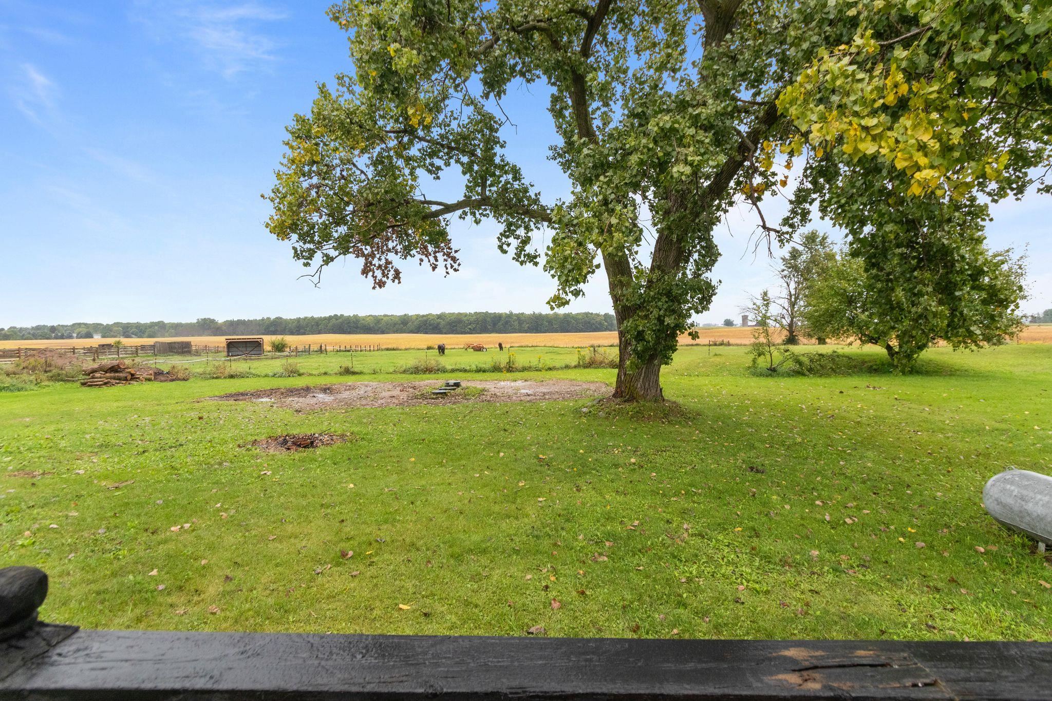 Property photo 41