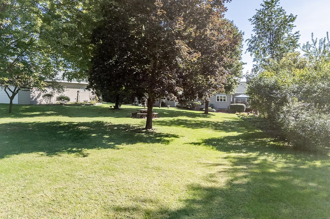 Property photo 87