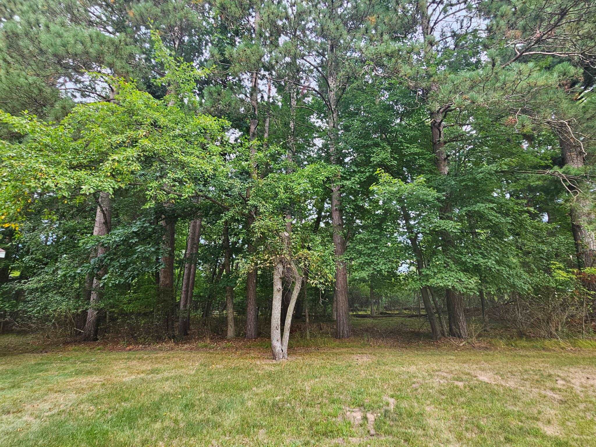 Property photo 41