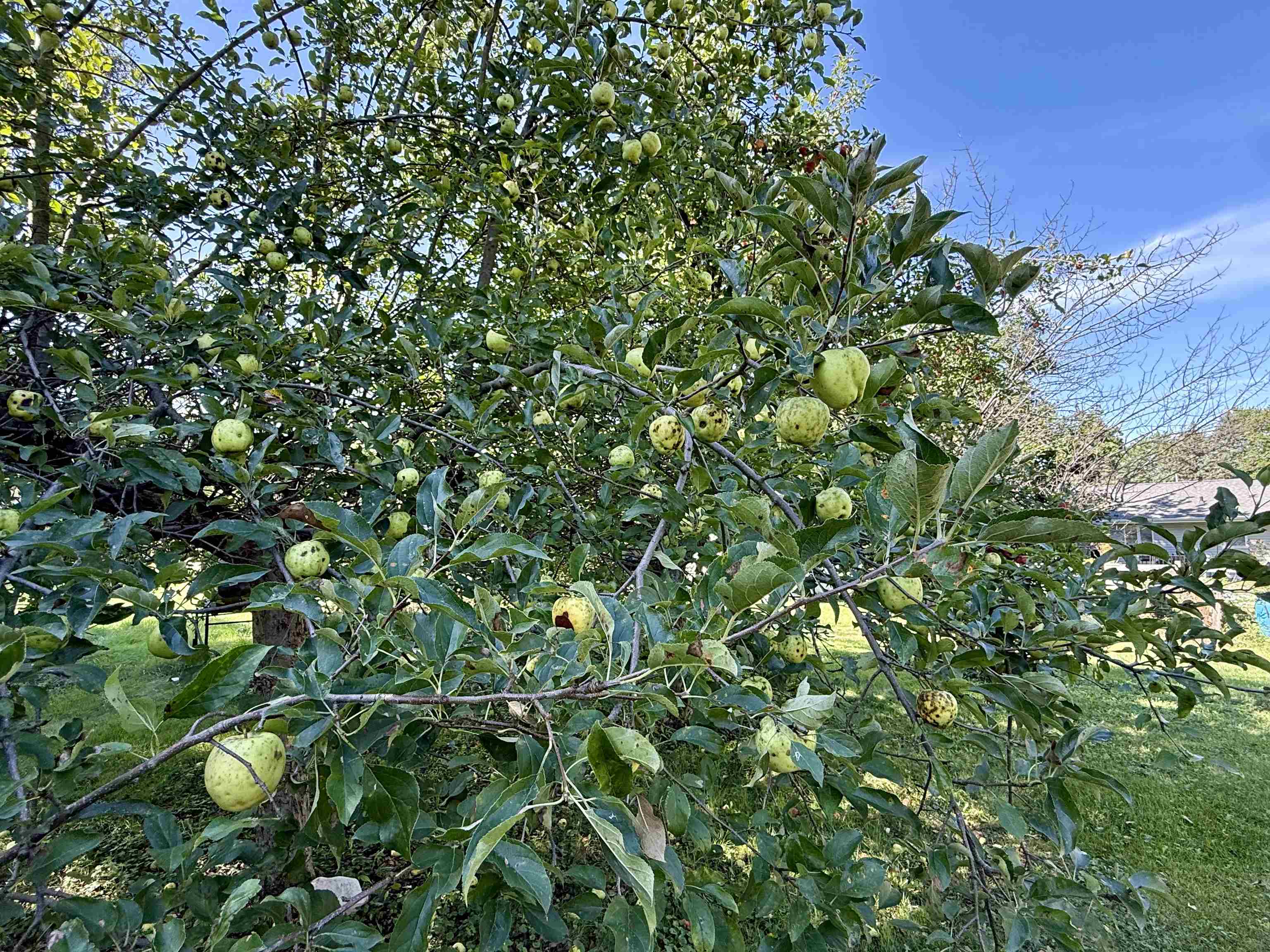 Property photo 38
