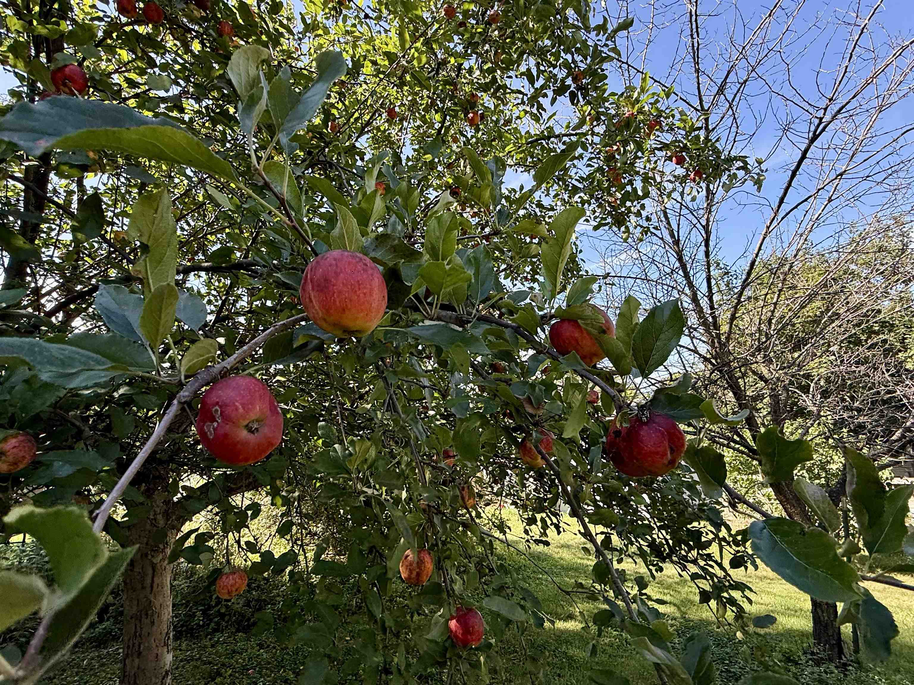 Property photo 39