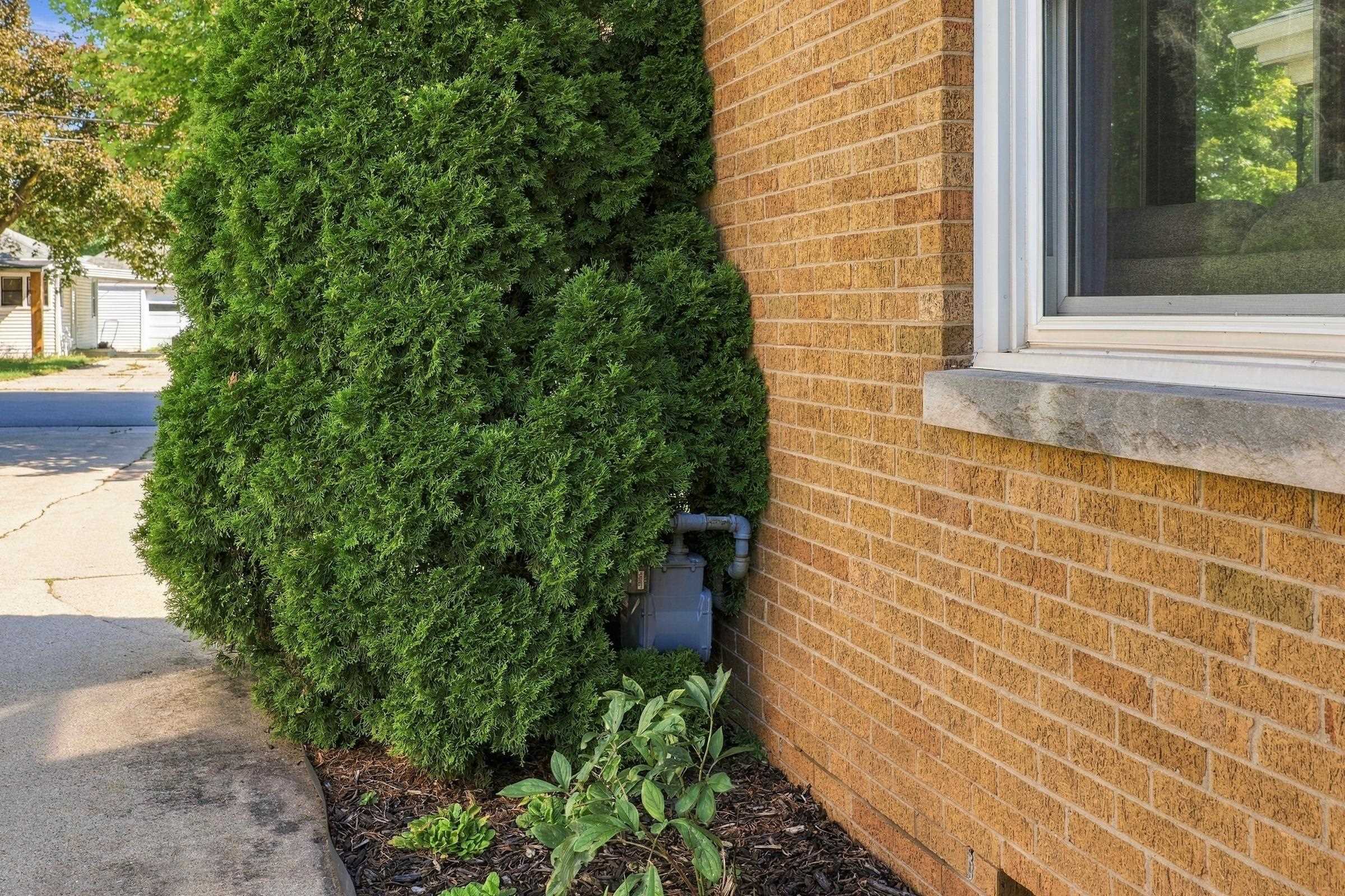 Property photo 40