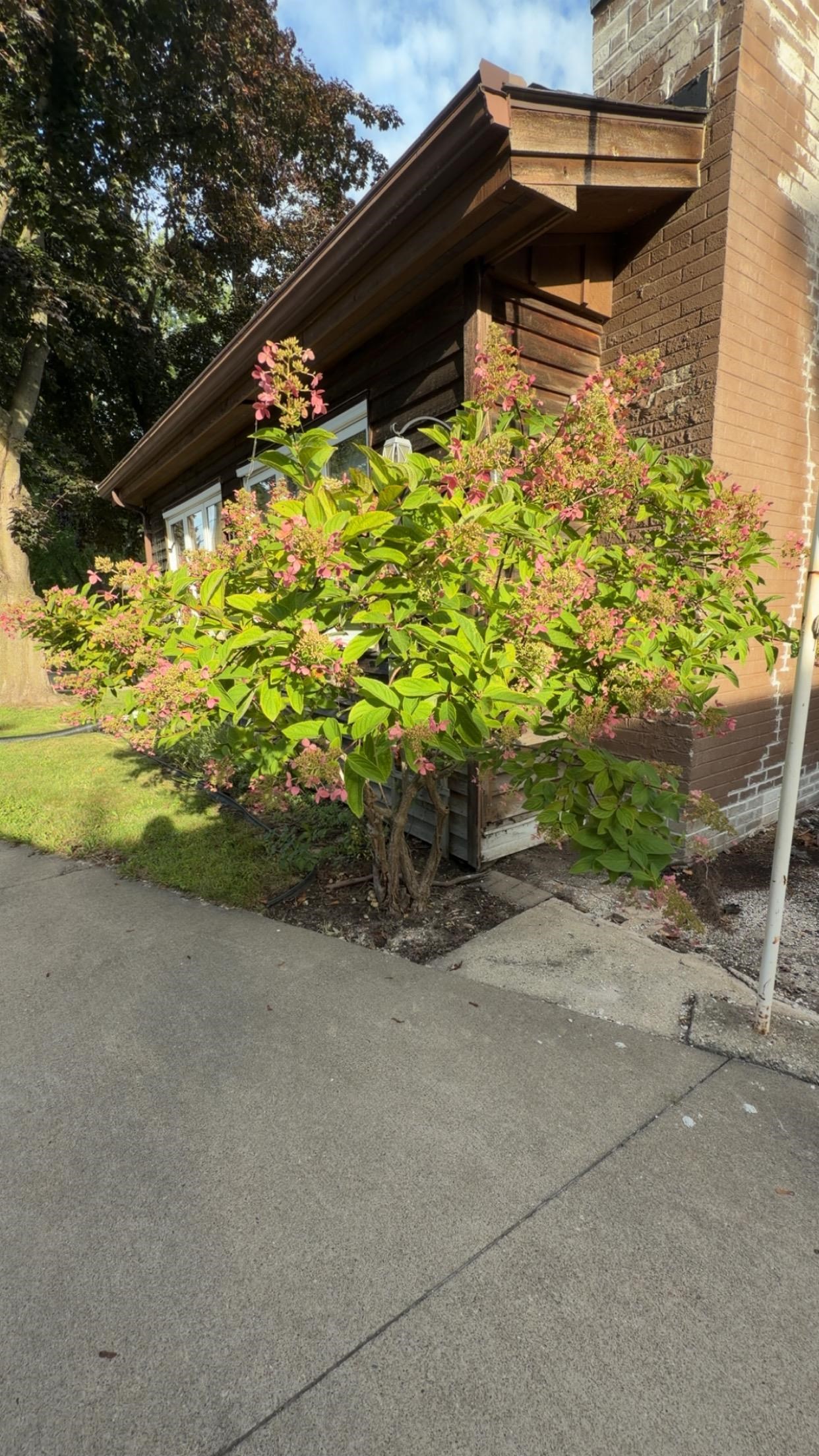 Property photo 23