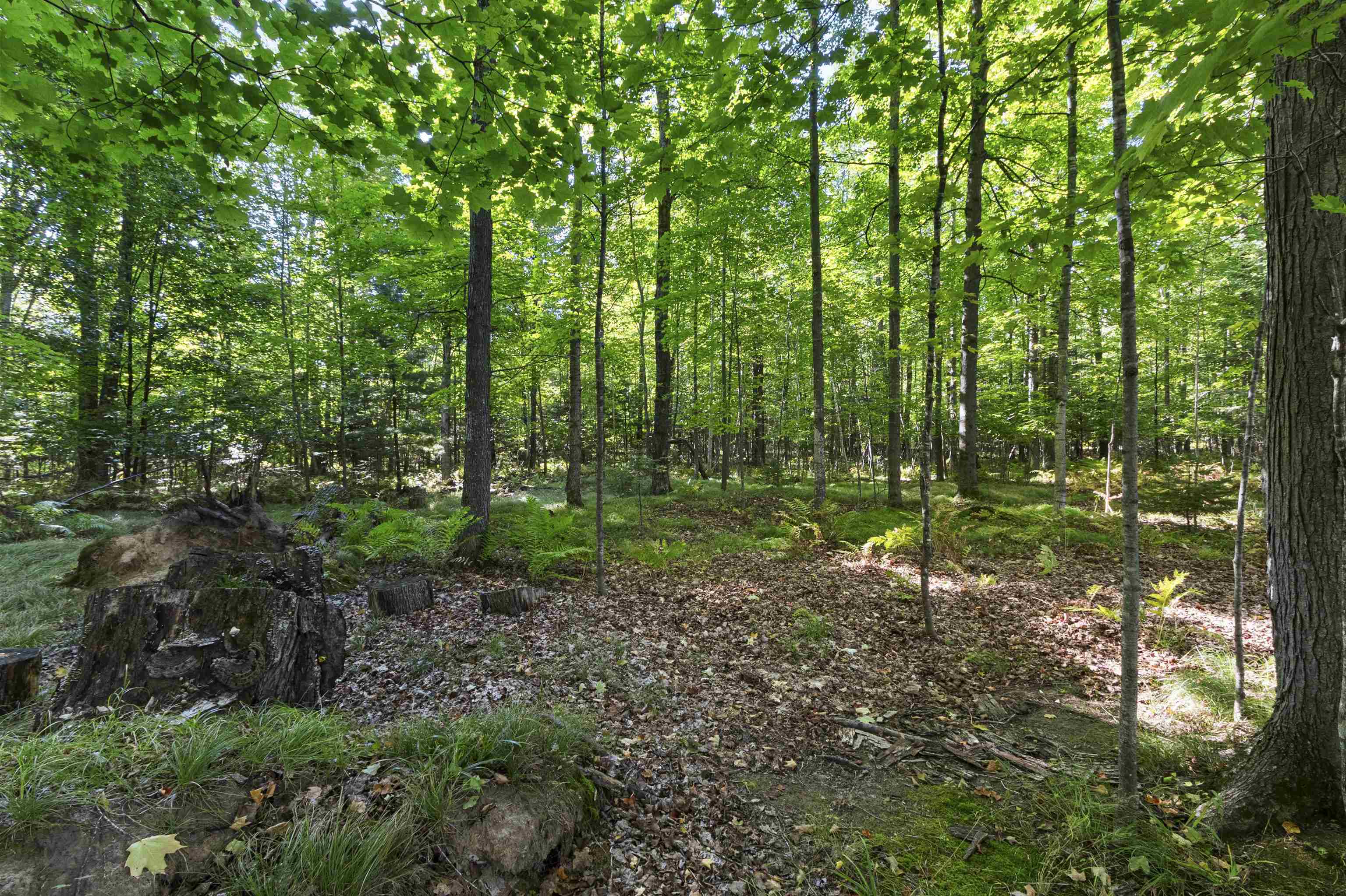Property photo 37