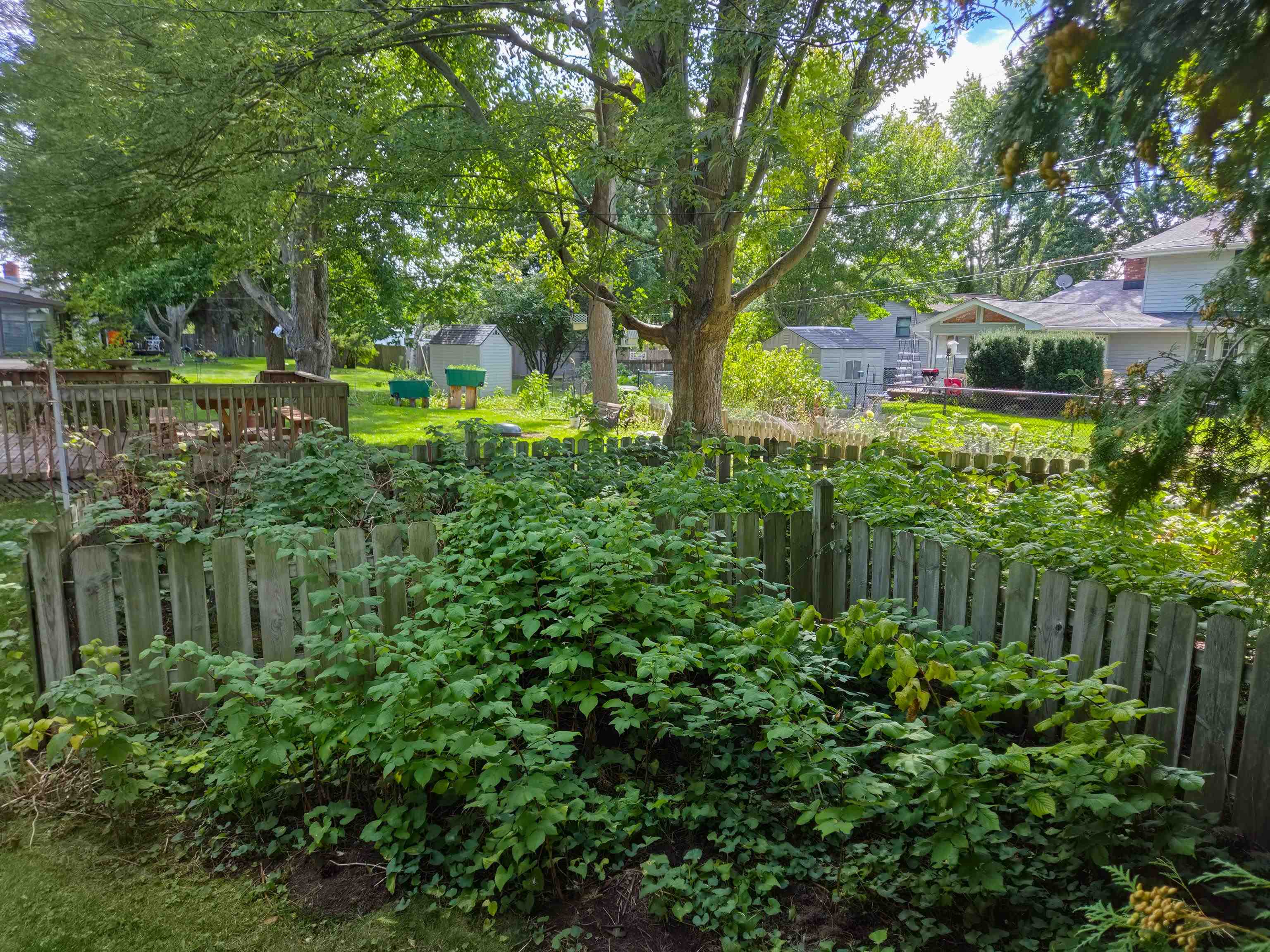 Property photo 9