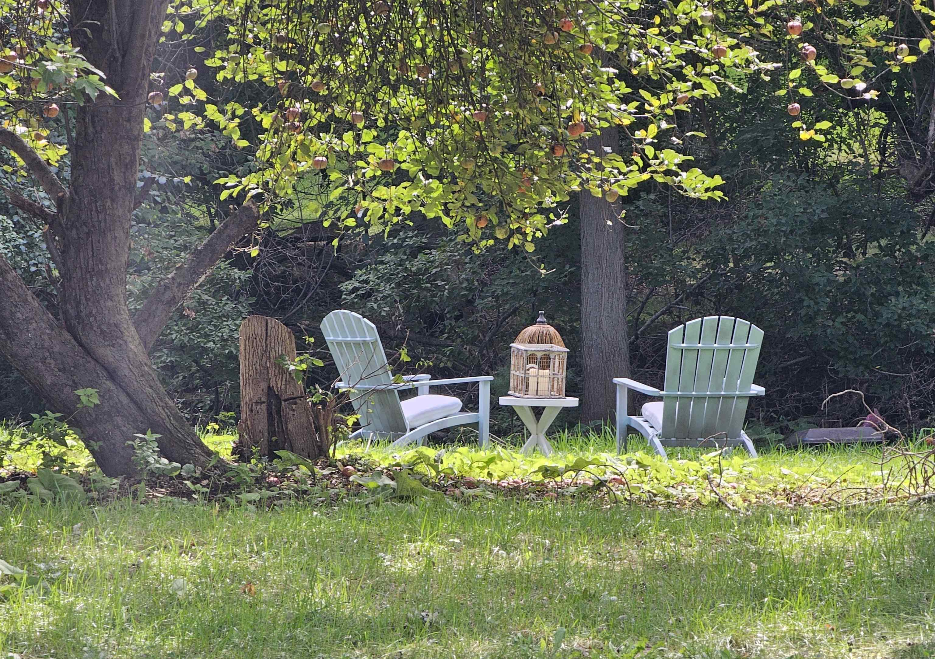 Property photo 27