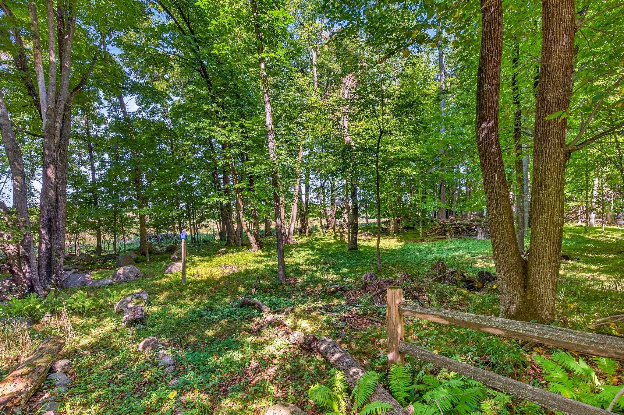 Property photo 43