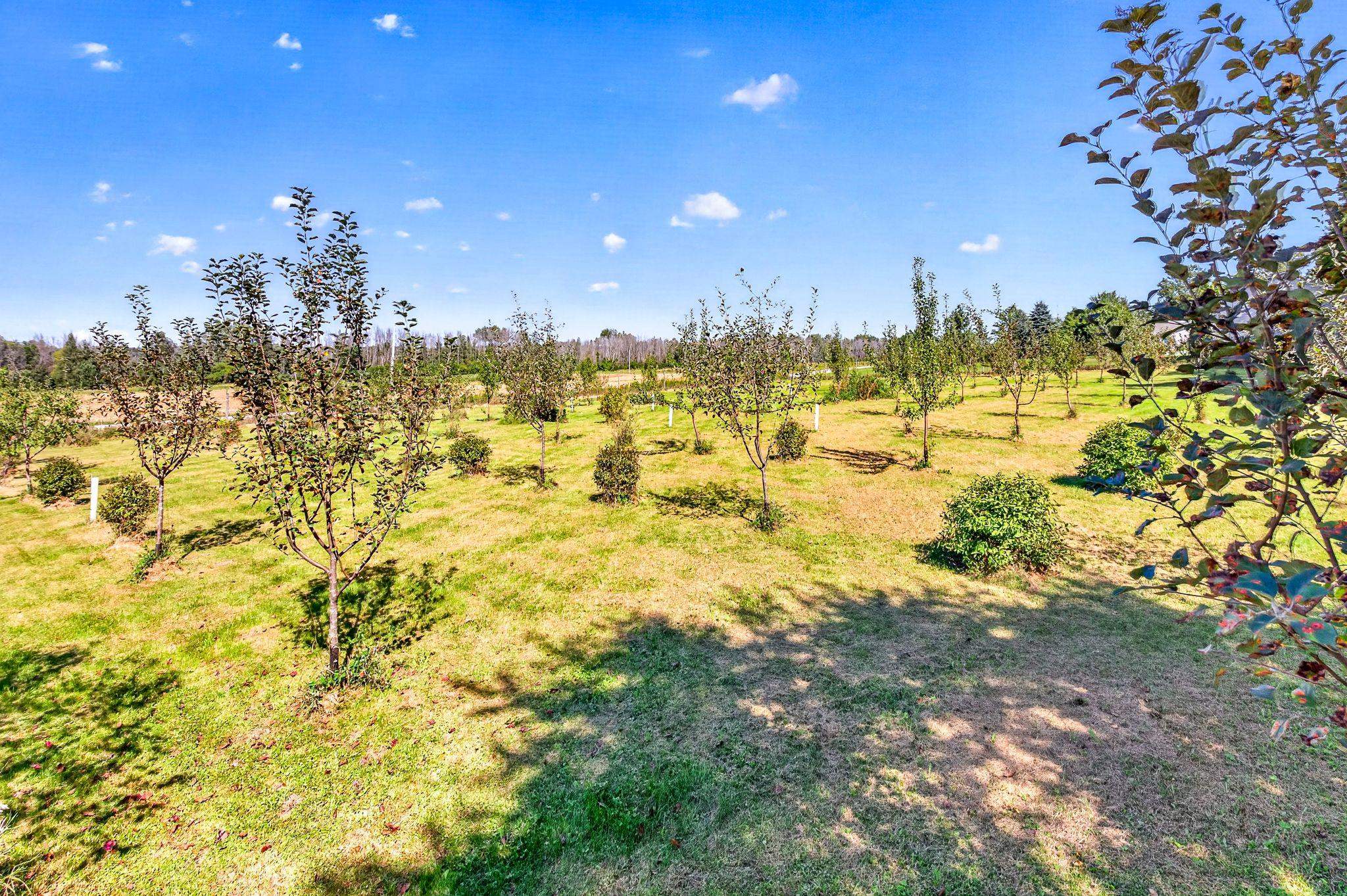 Property photo 53