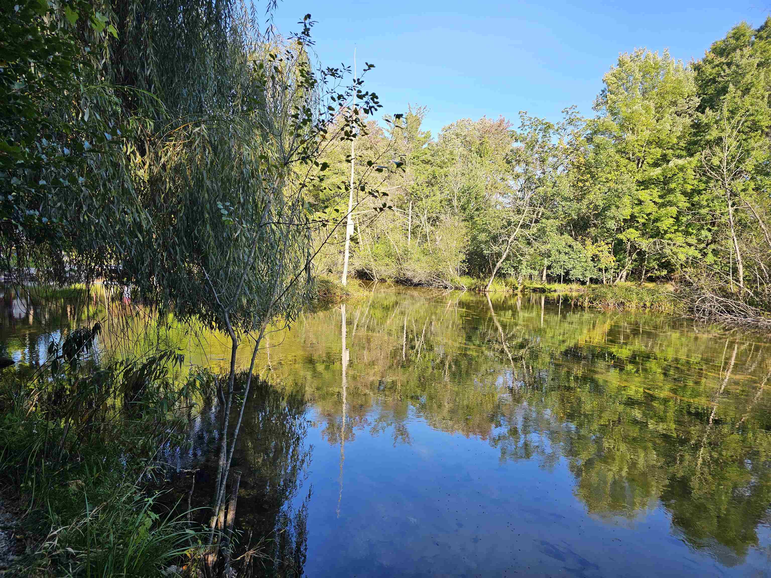 Property photo 43