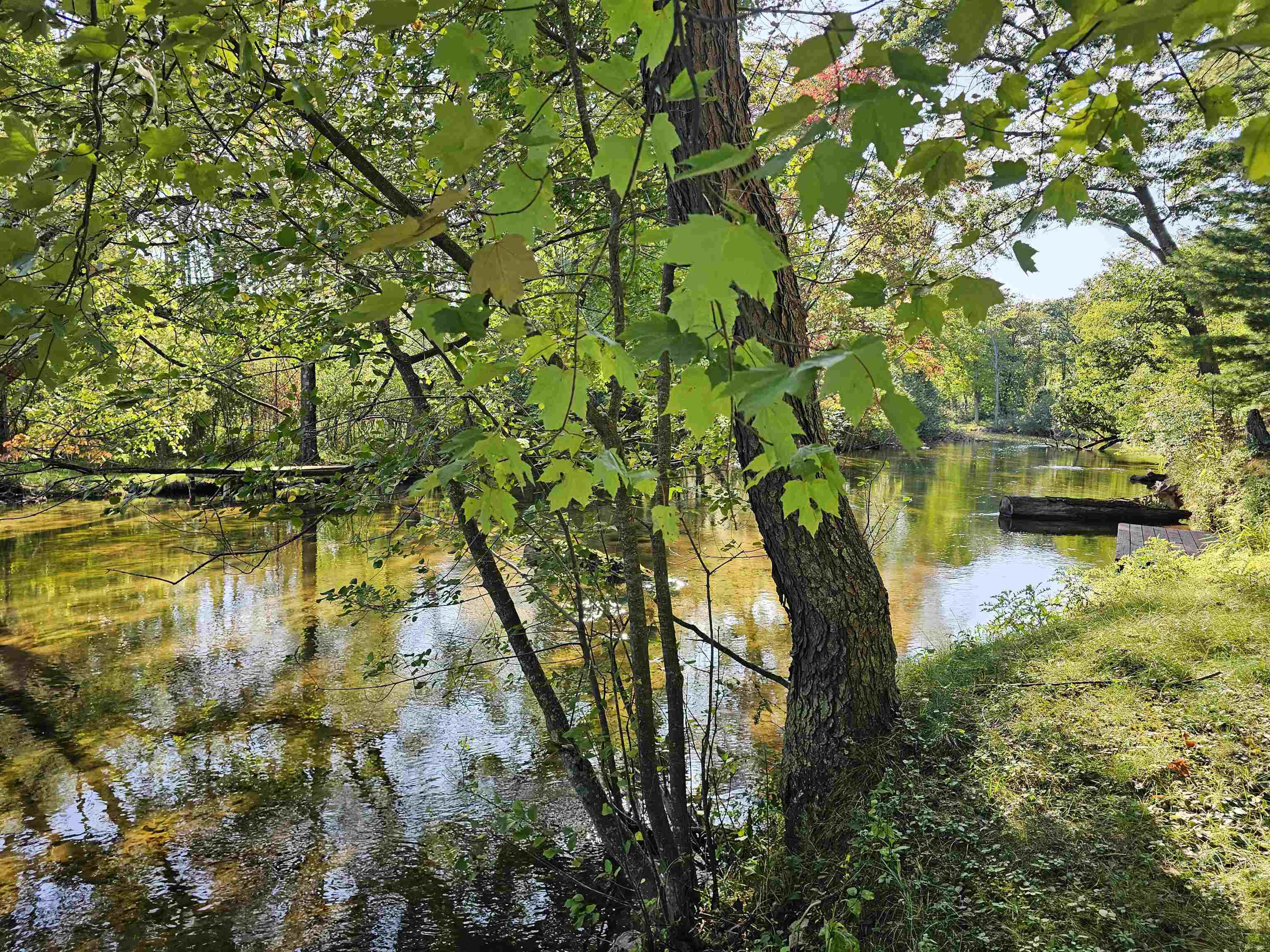 Property photo 45