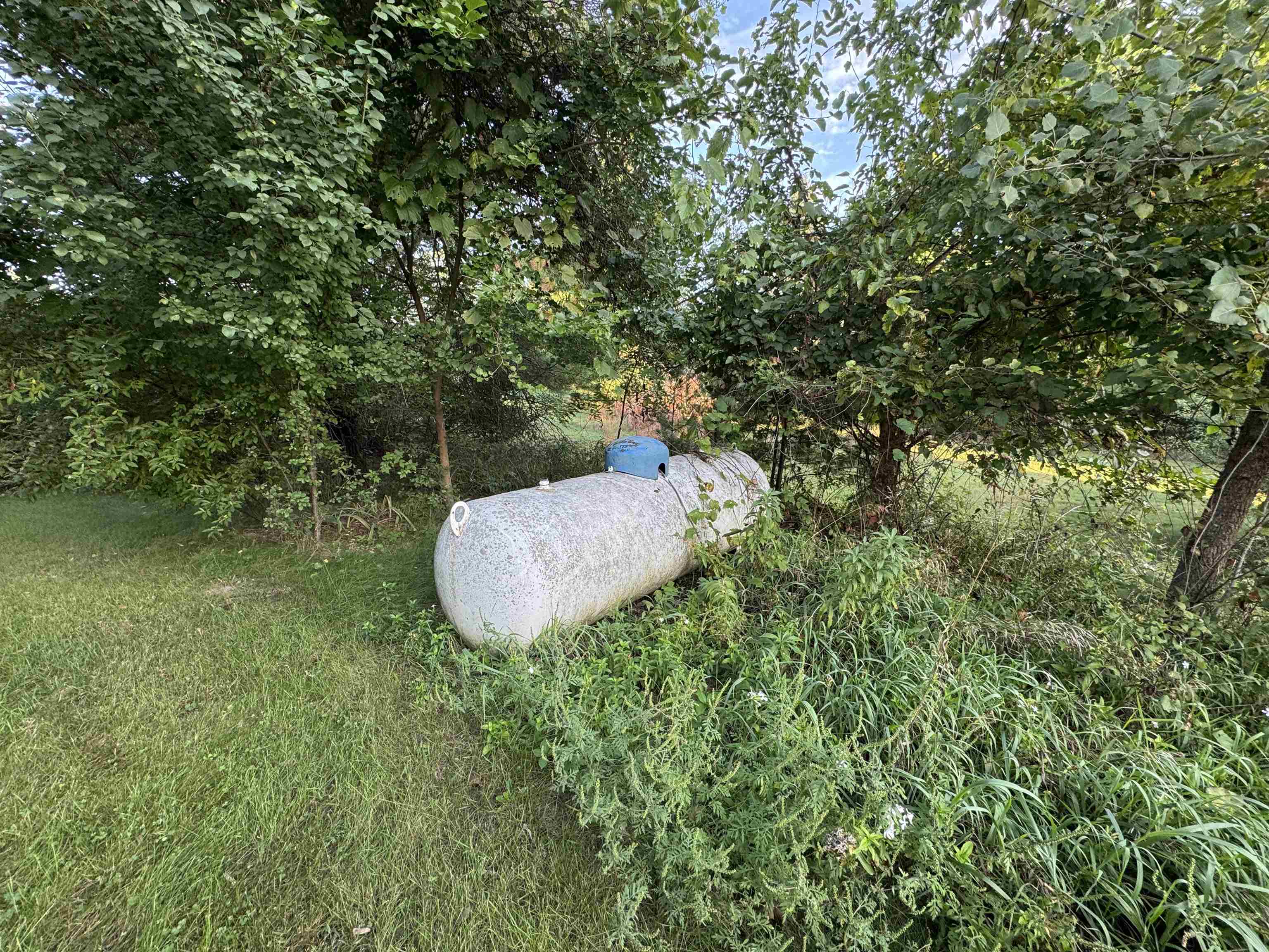 Property photo 39