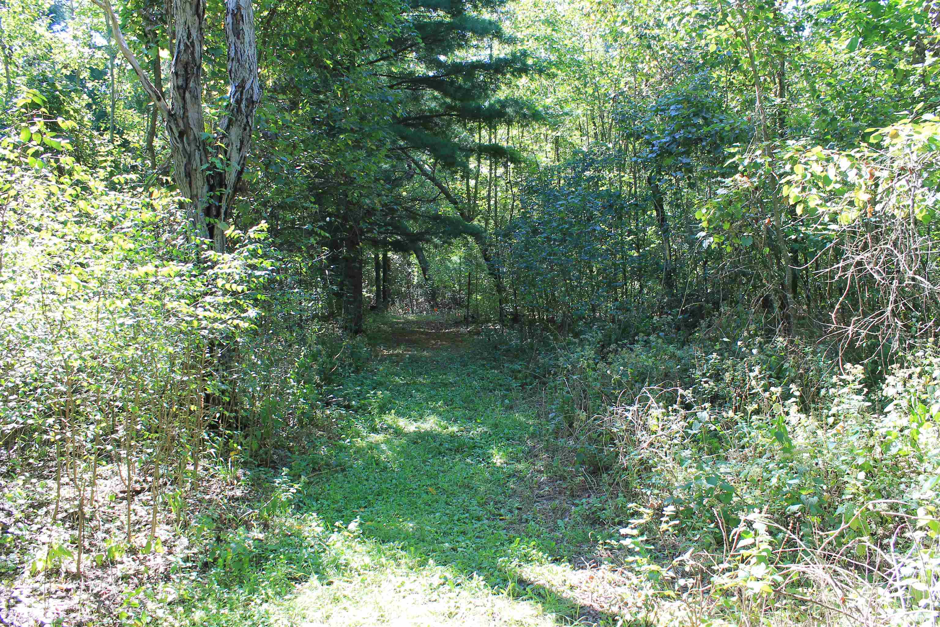 Property photo 48