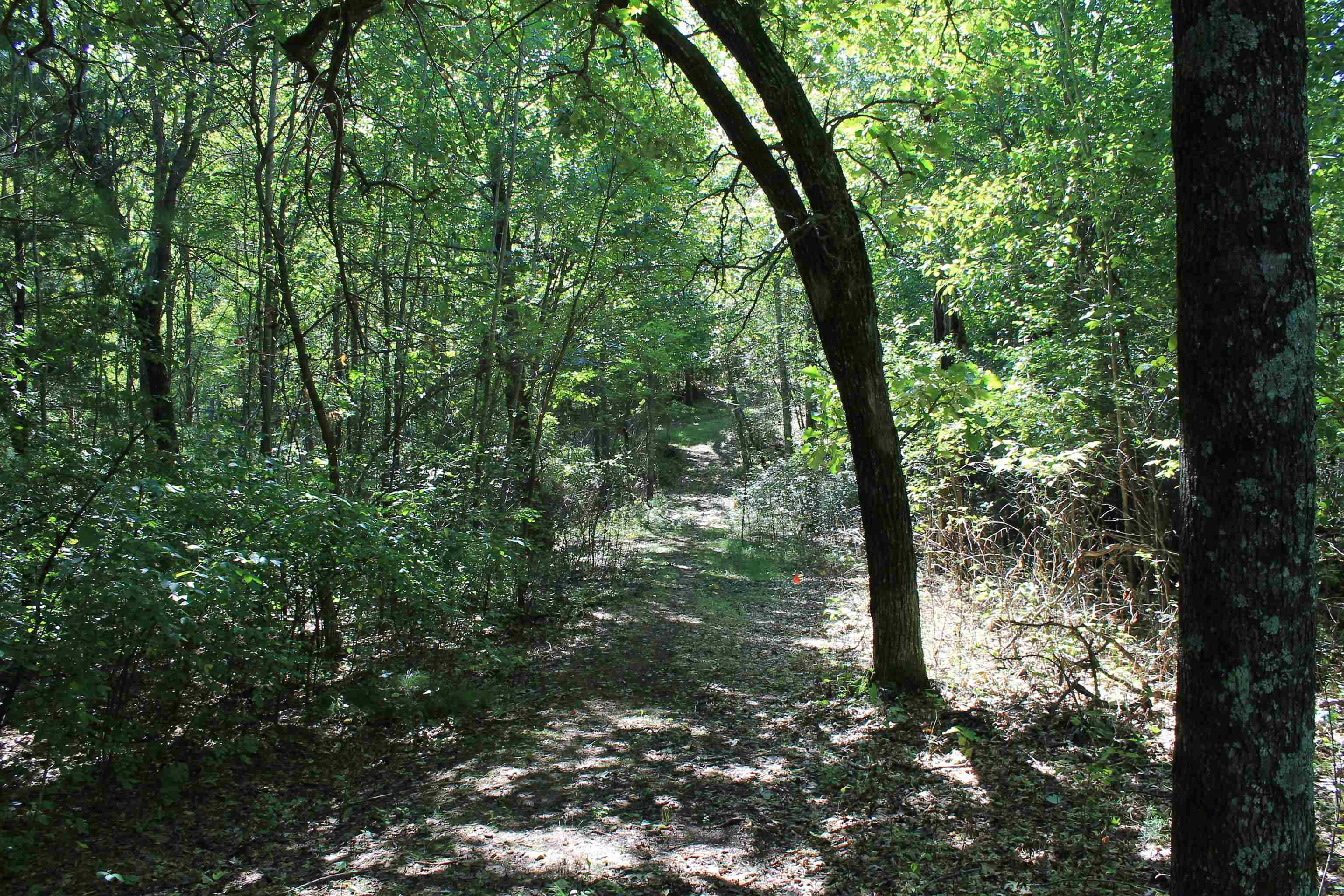Property photo 49