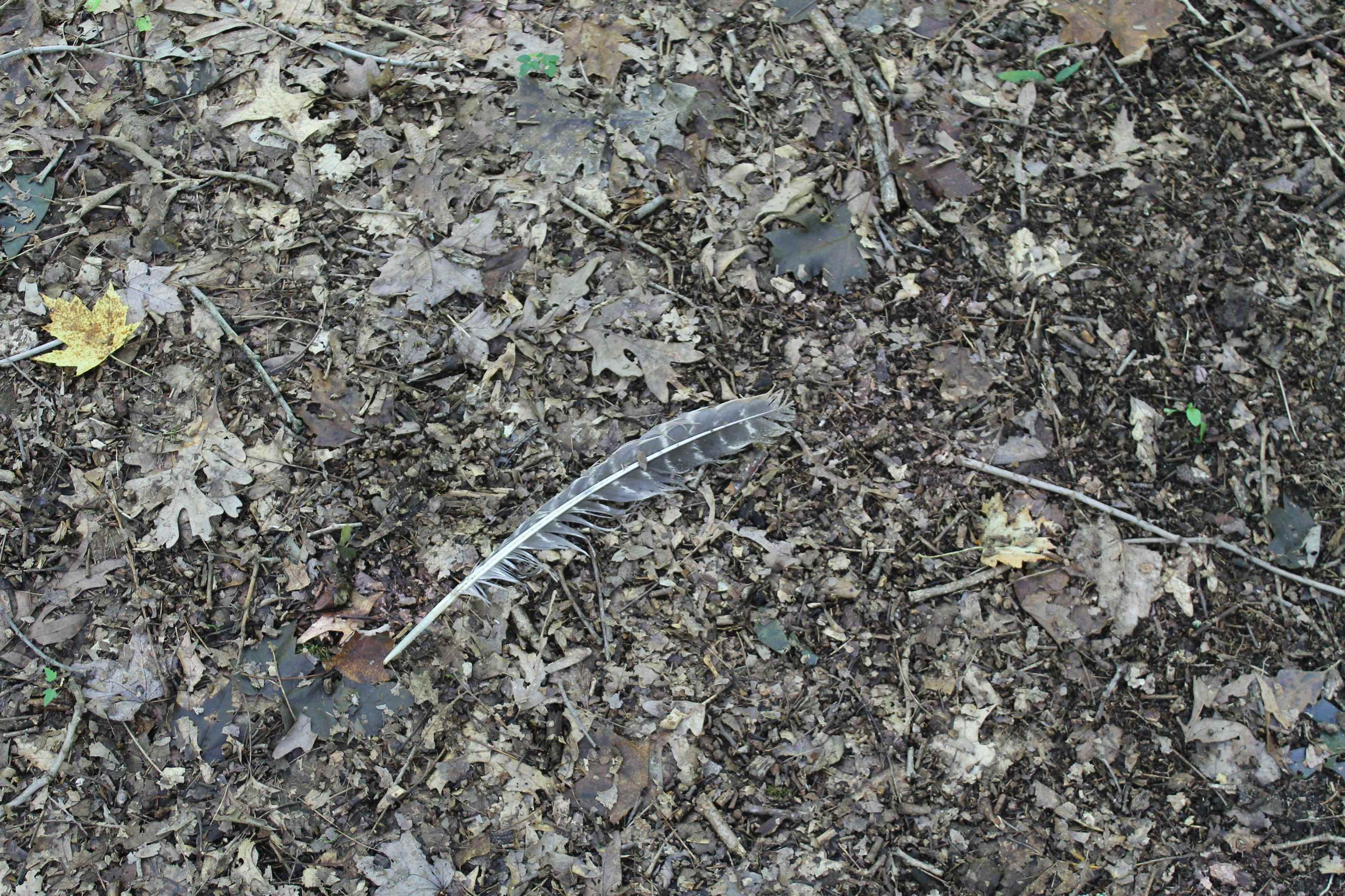 Property photo 57
