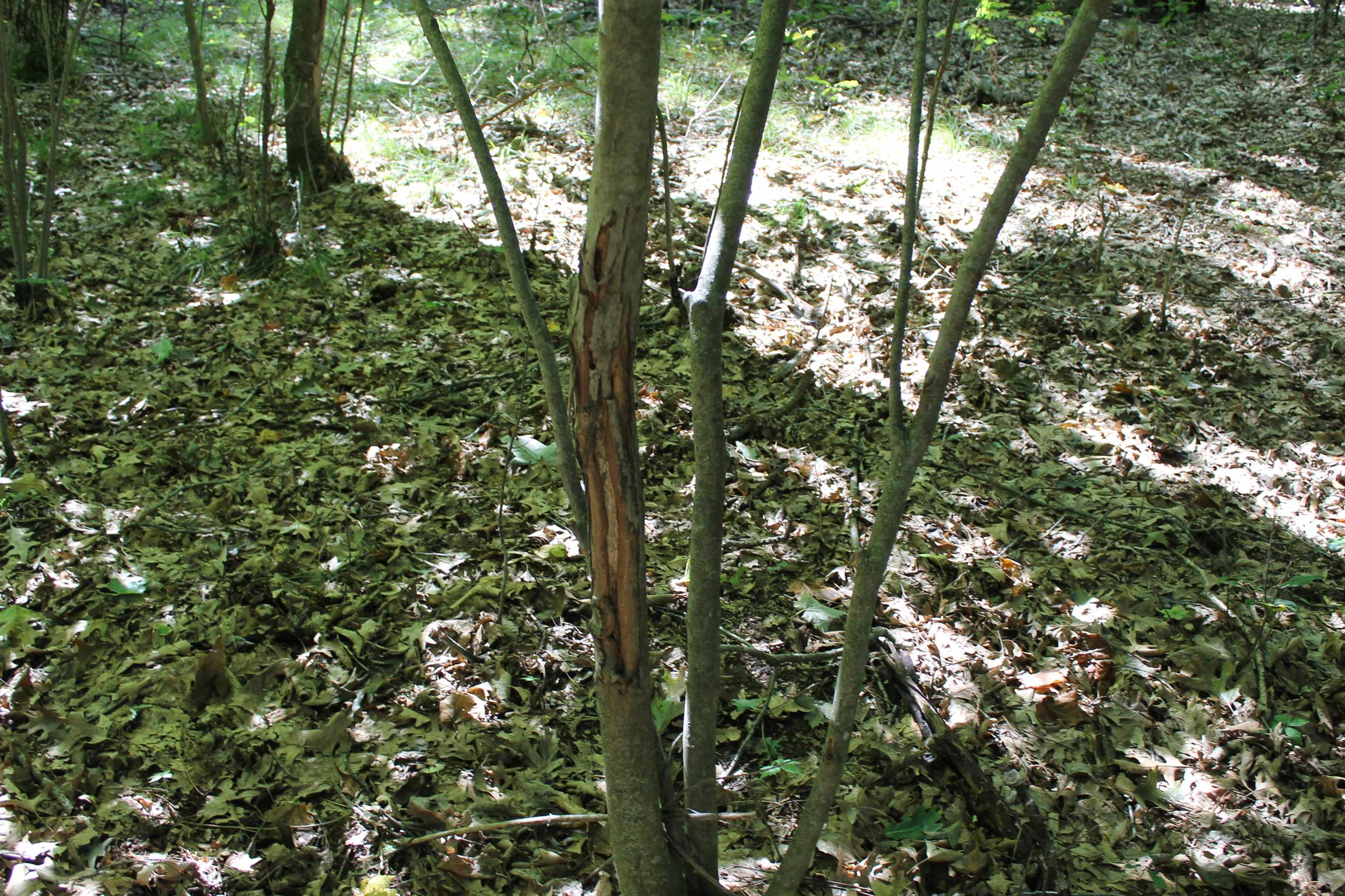 Property photo 61