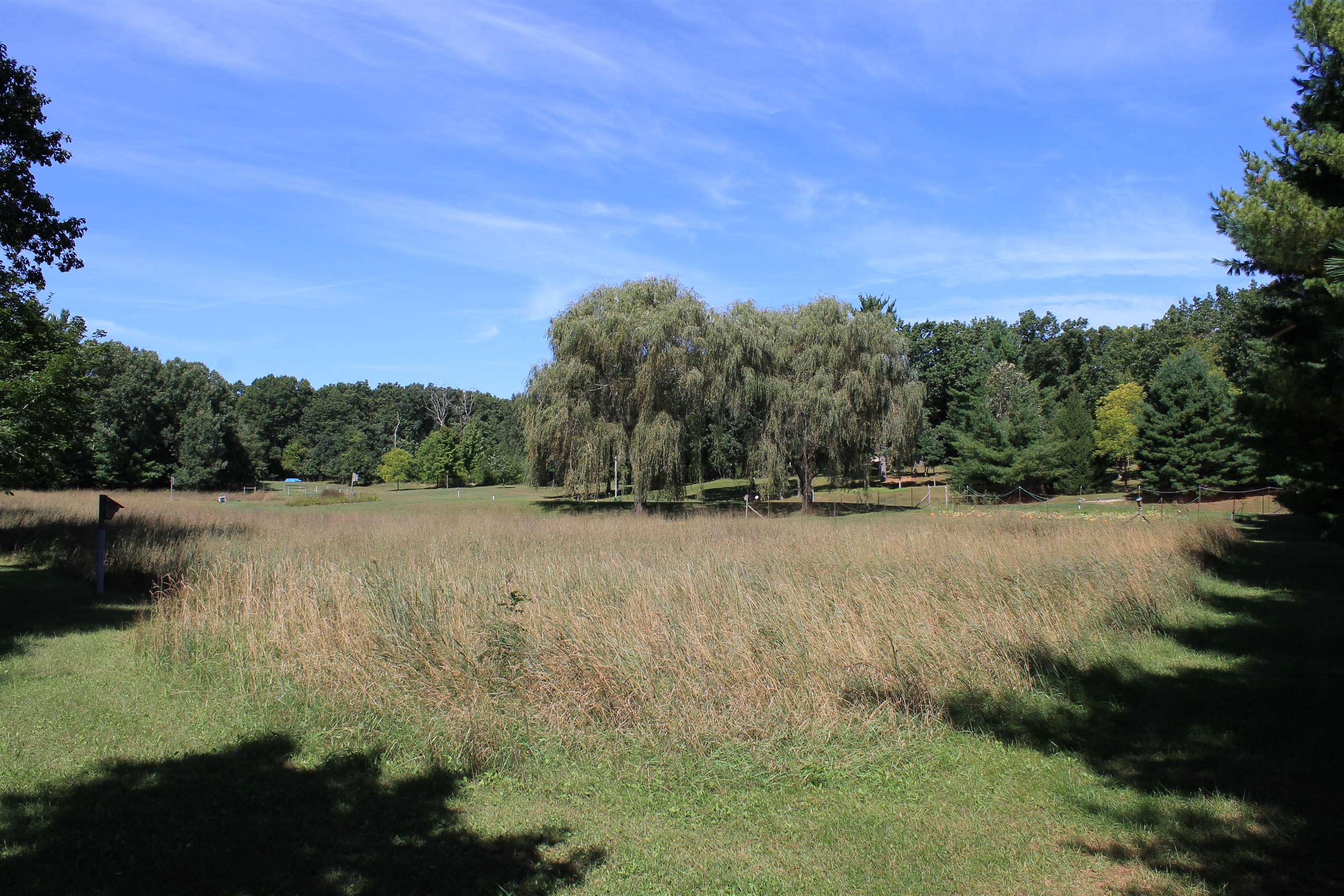 Property photo 62