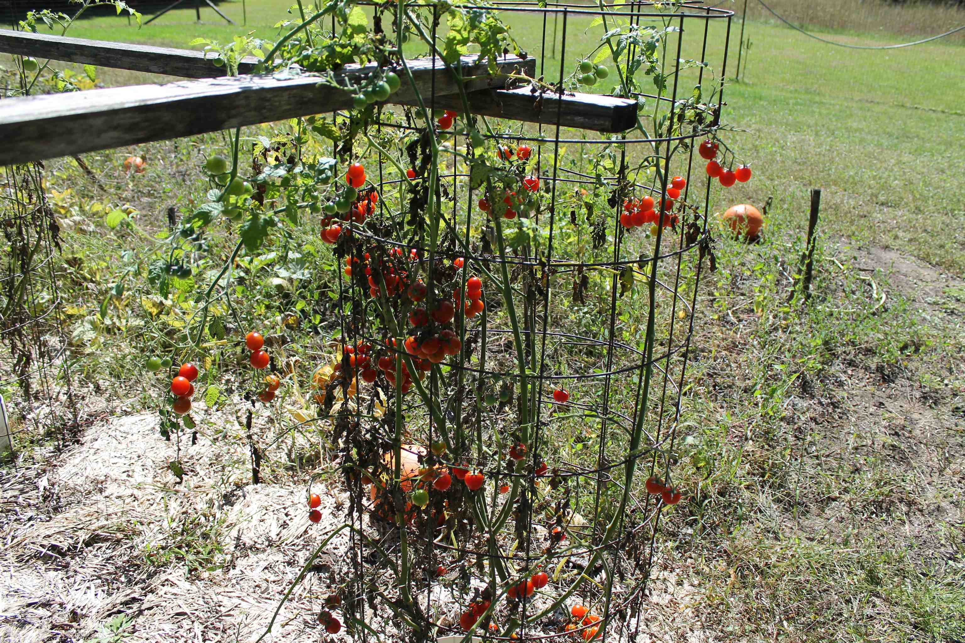 Property photo 64