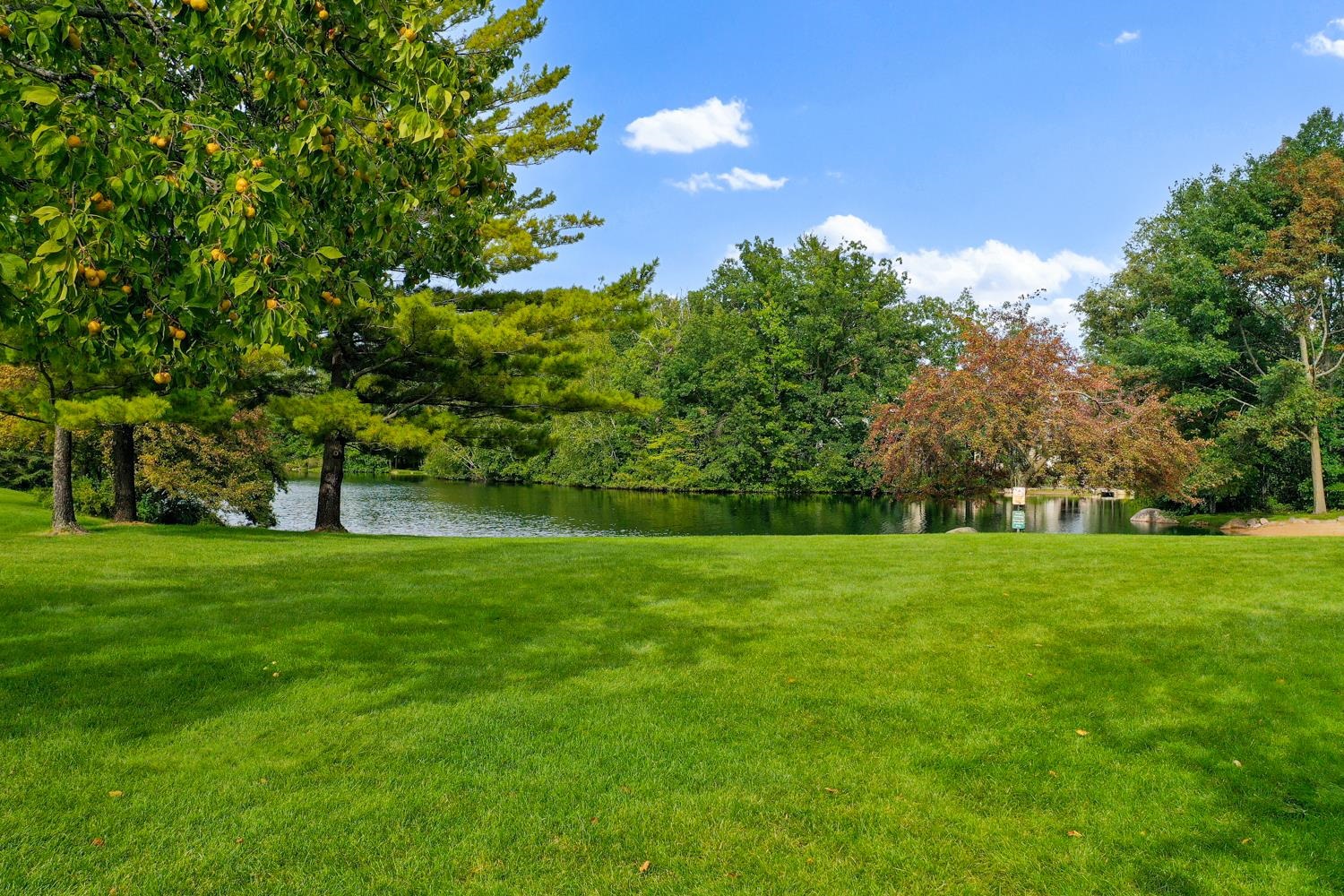 Property photo 67