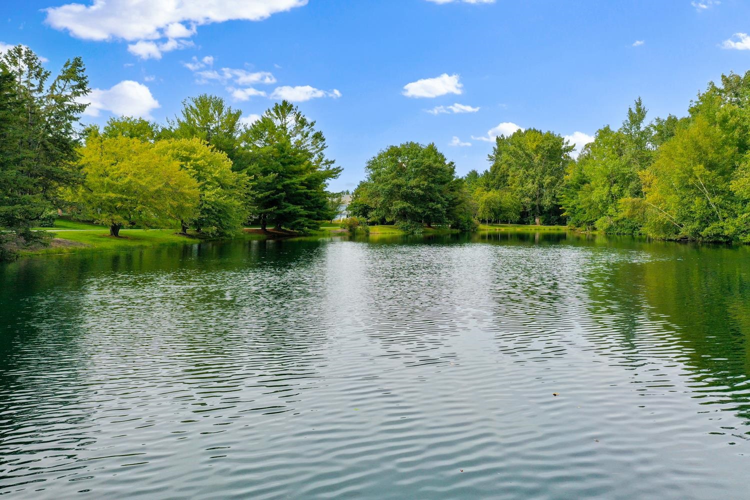 Property photo 71