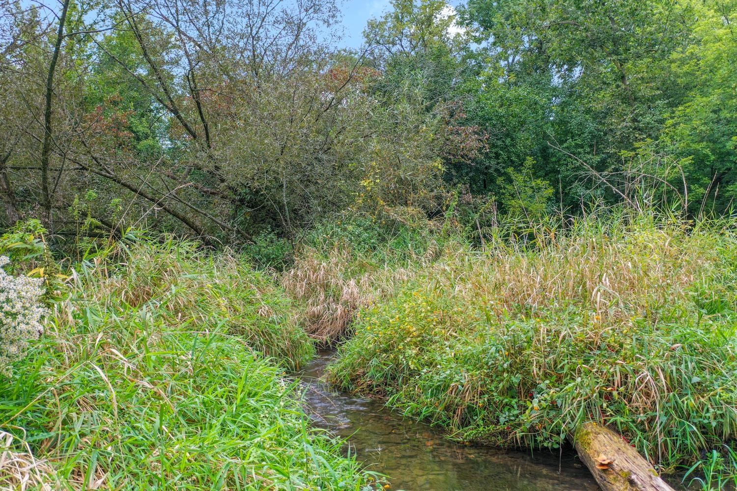 Property photo 41