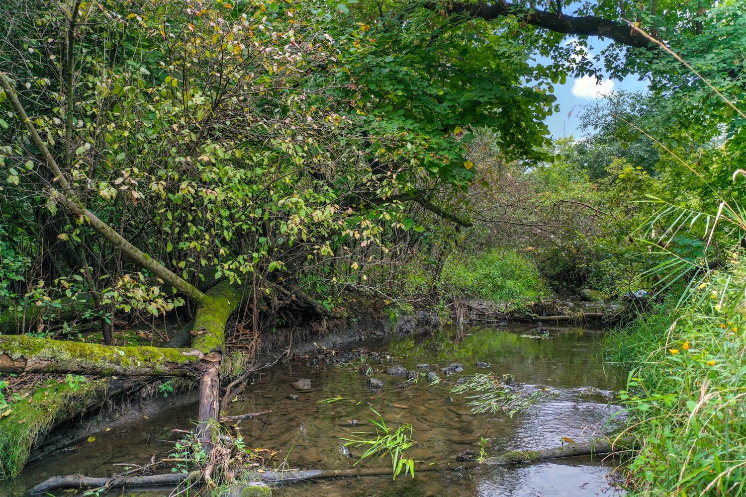 Property photo 42
