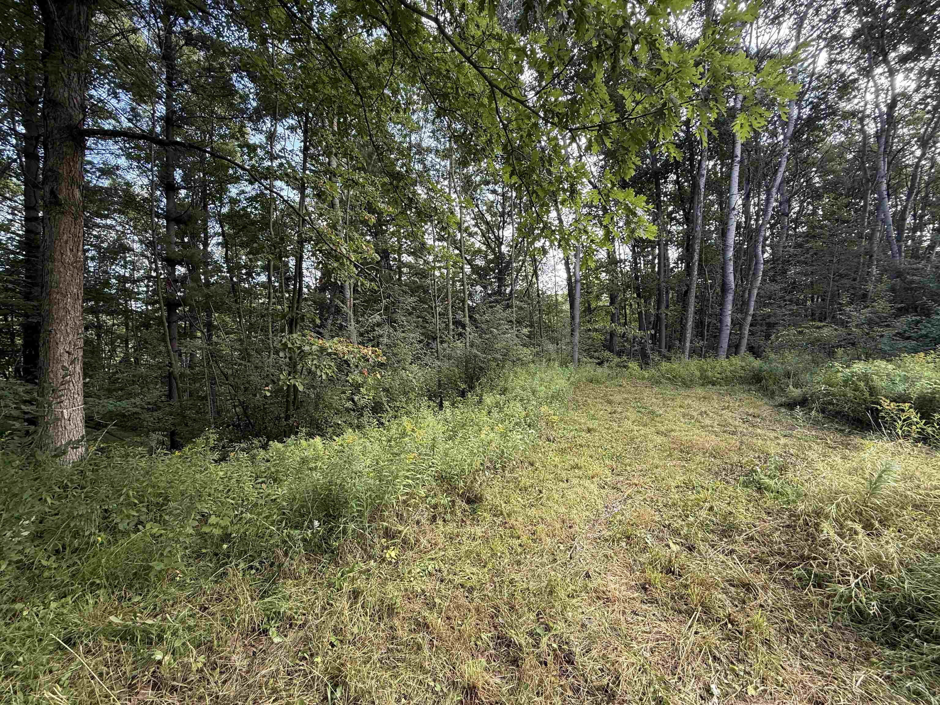 Property photo 18