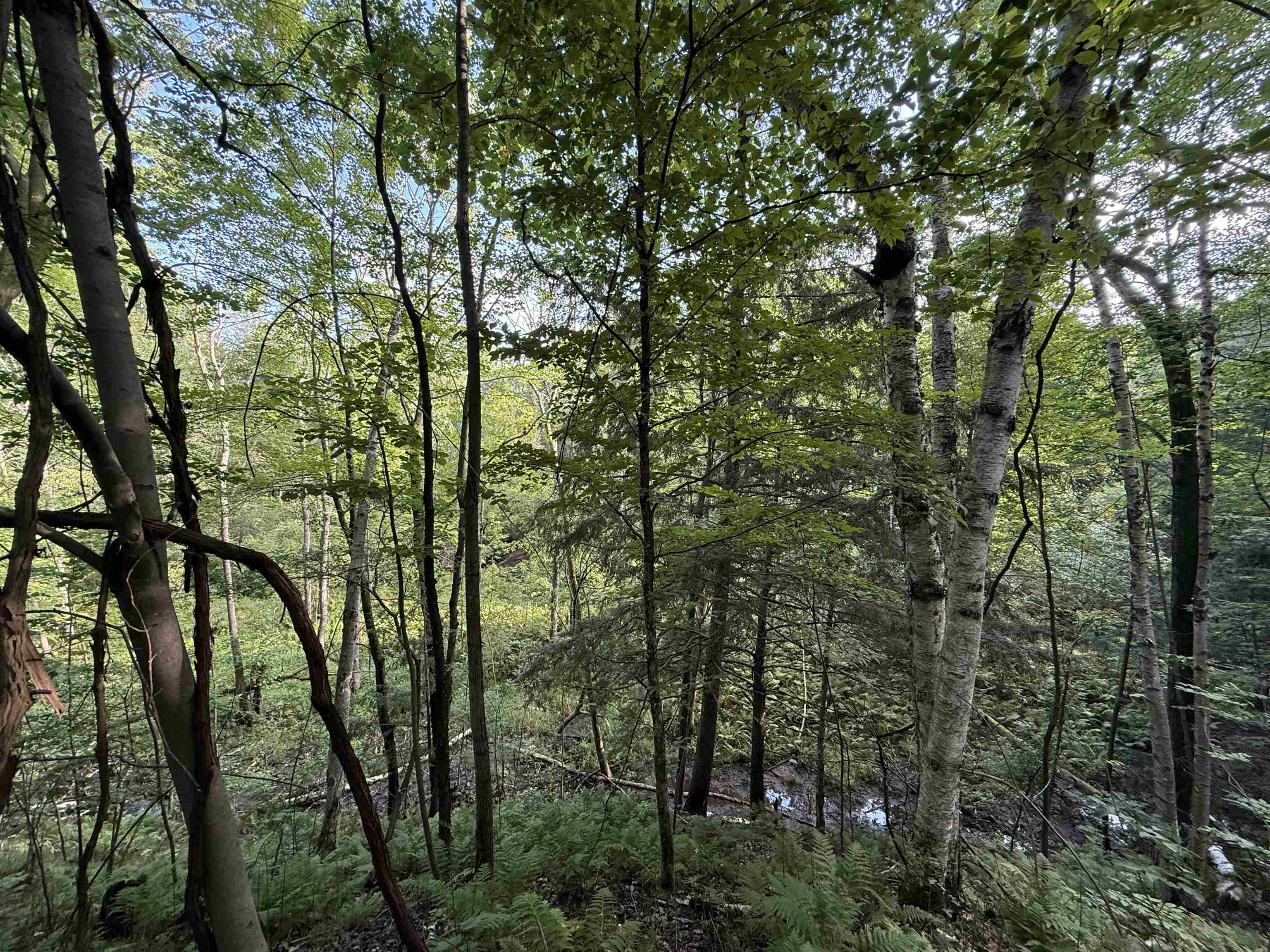 Property photo 21