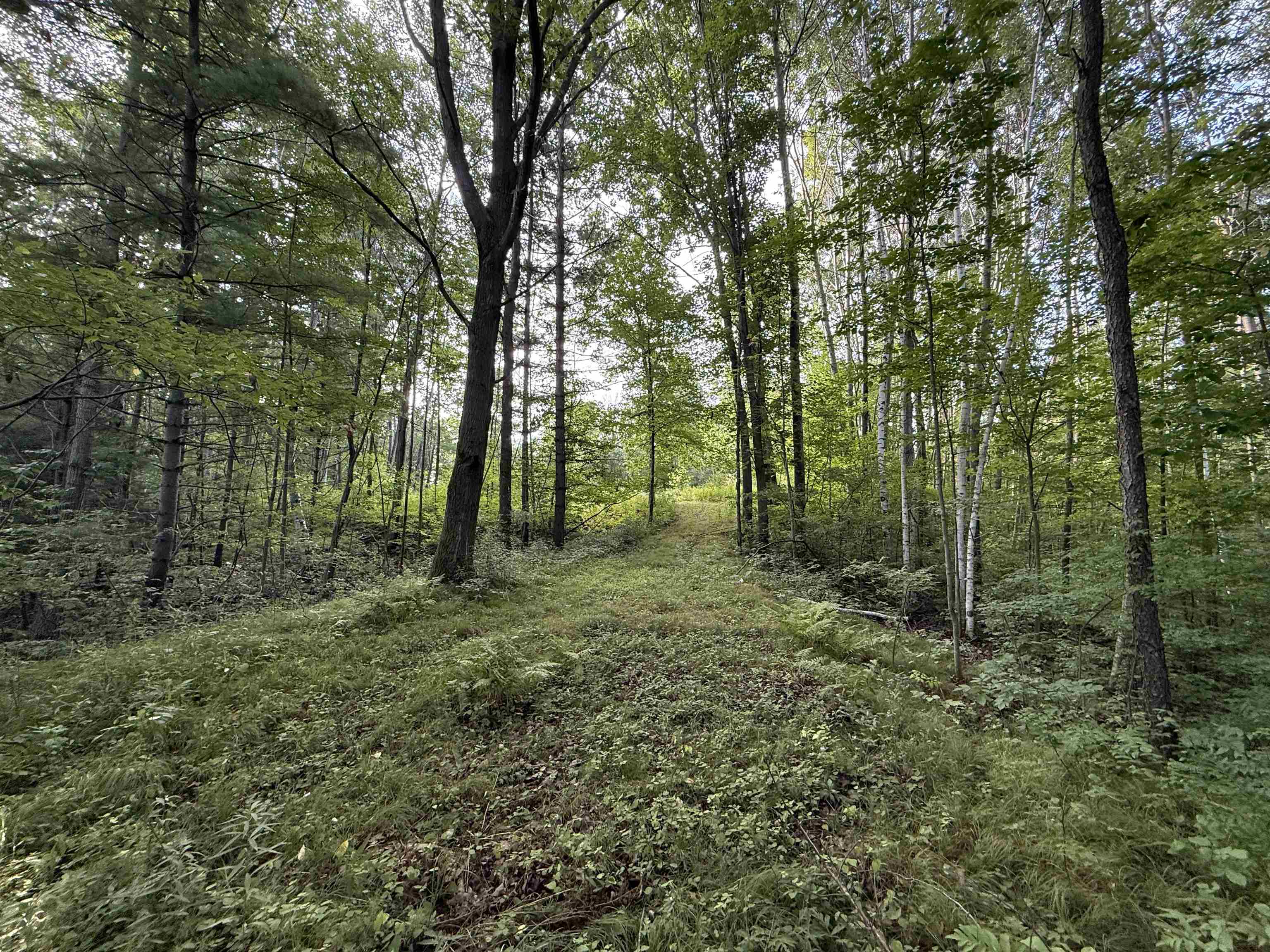 Property photo 22