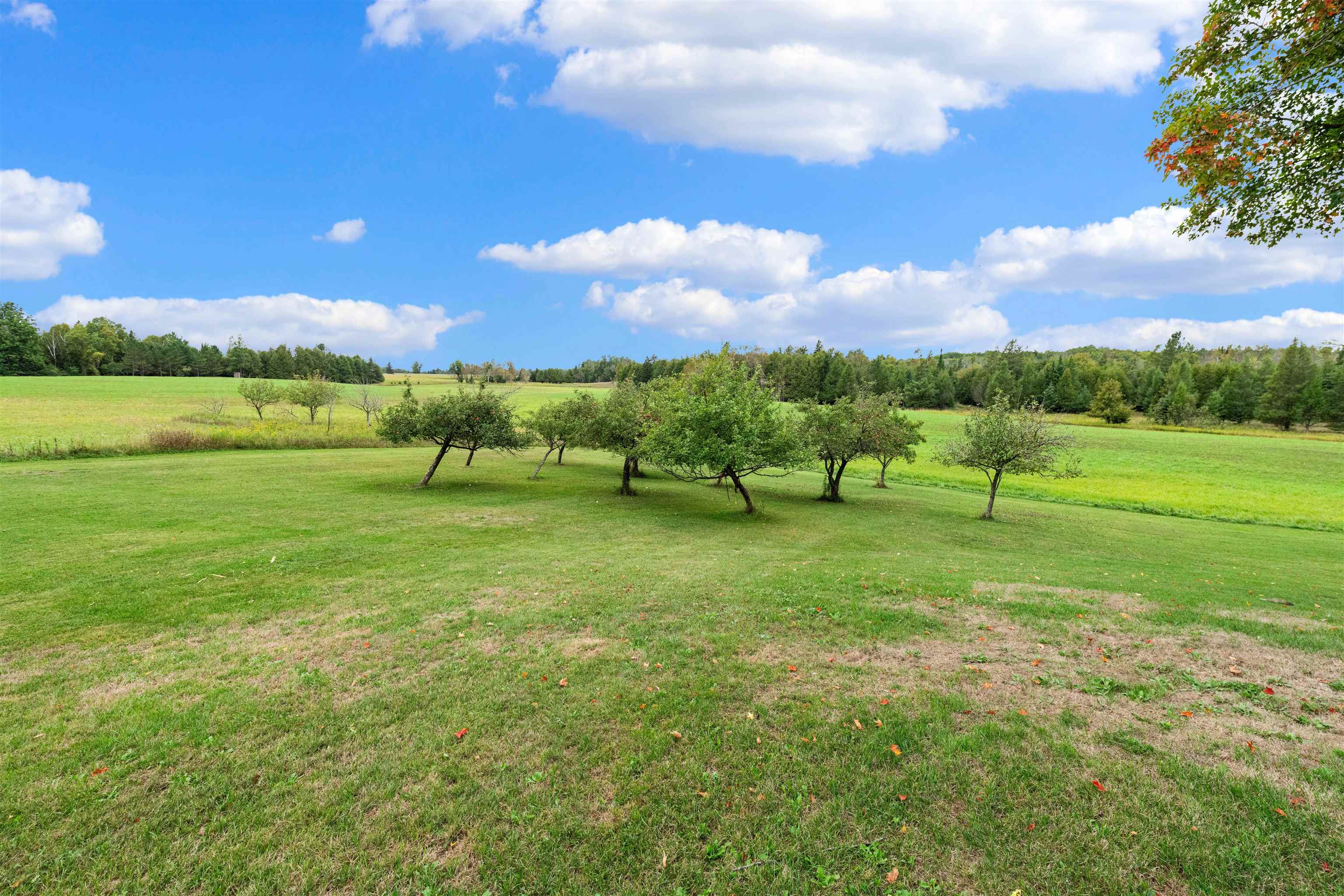 Property photo 50