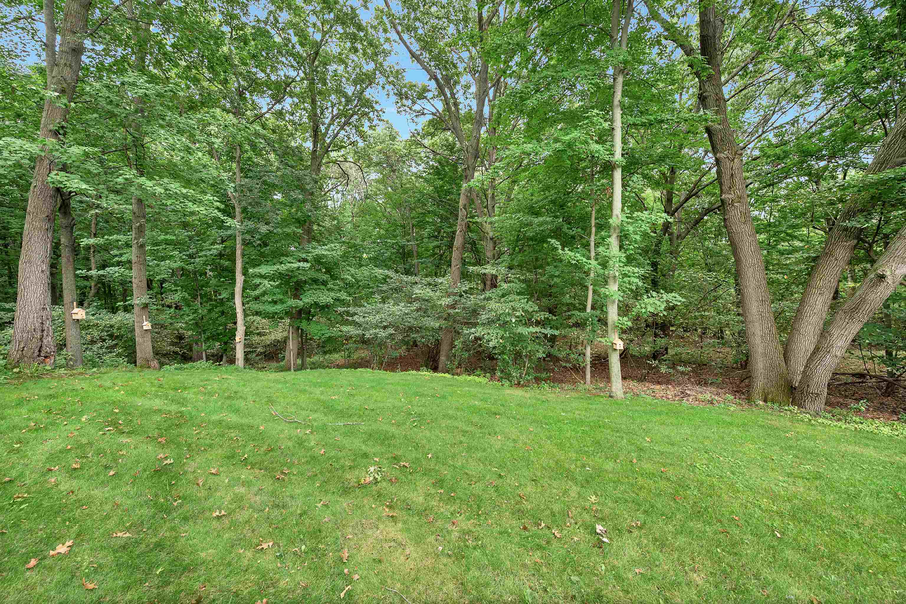 Property photo 66