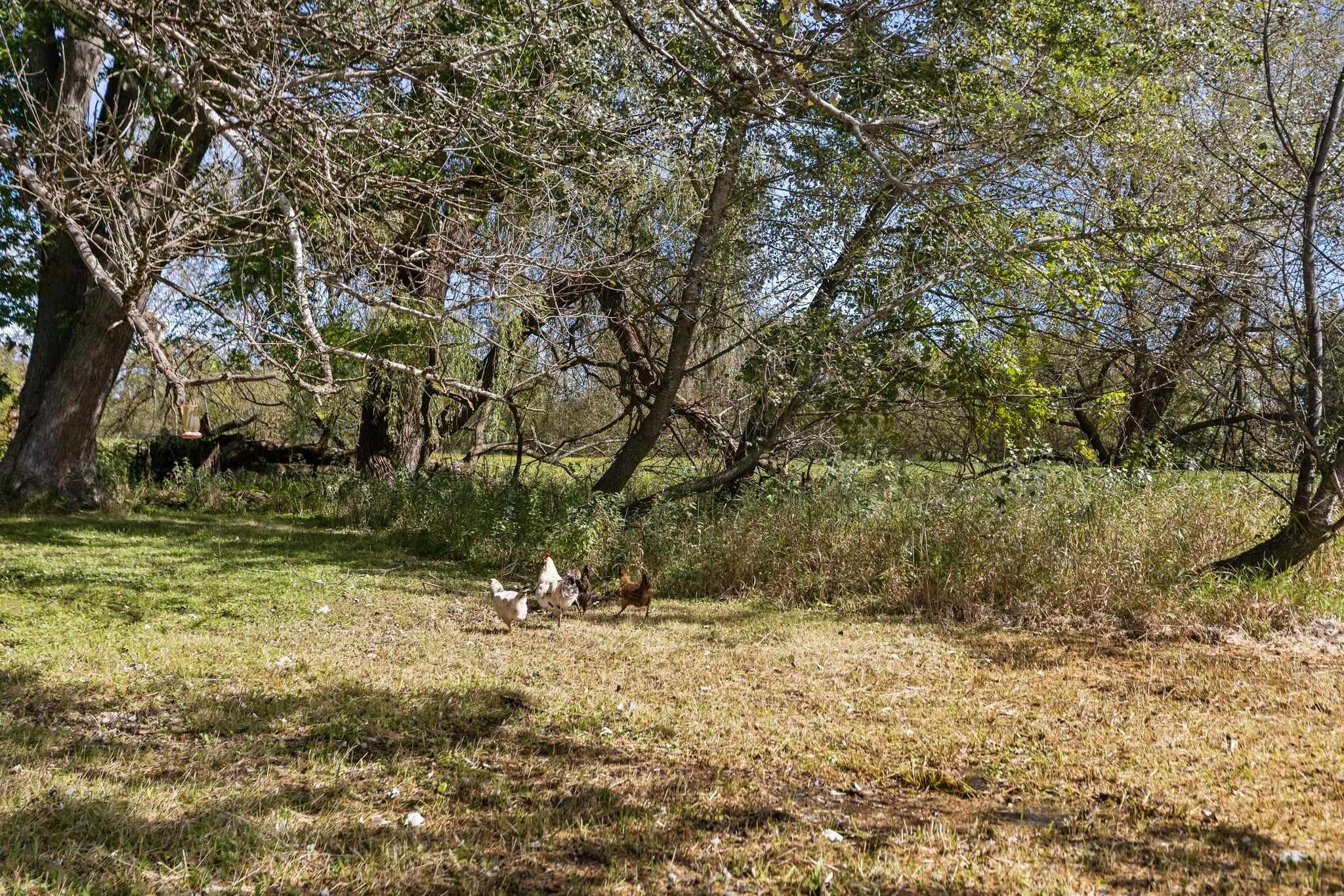 Property photo 40