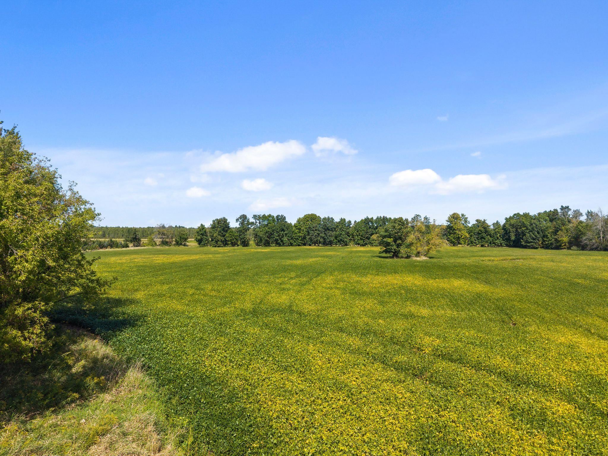 Property photo 47