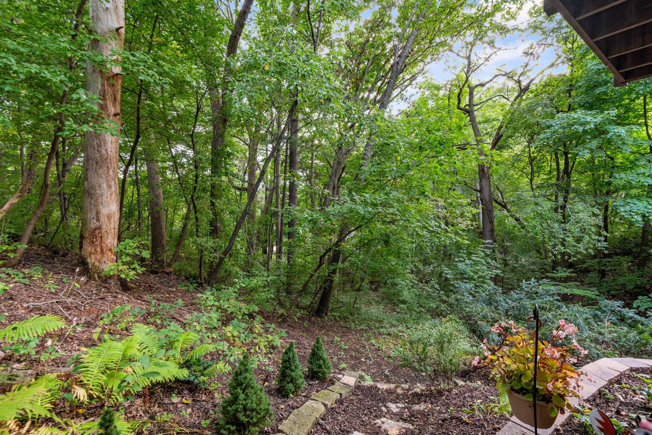 Property photo 75