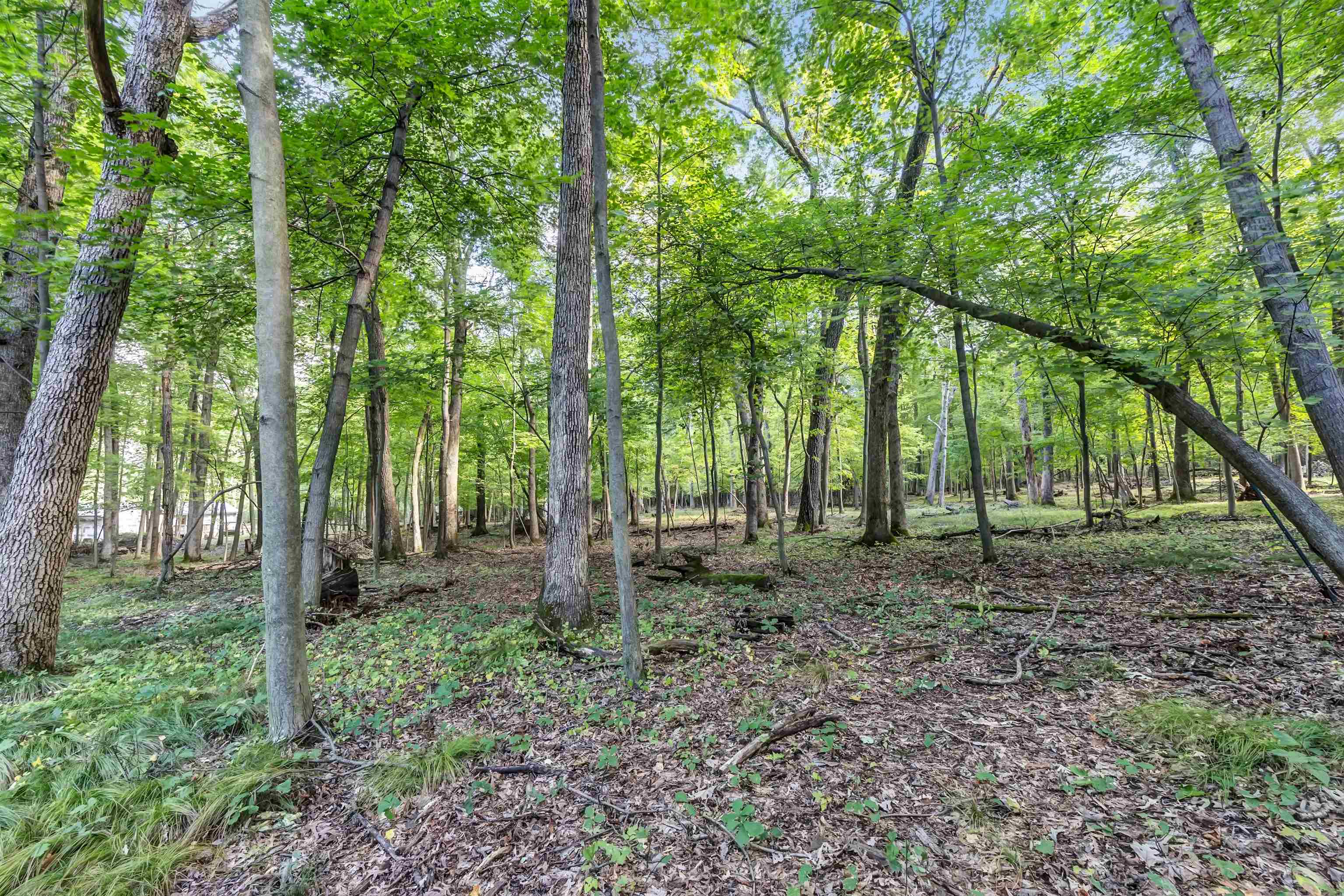 Property photo 26