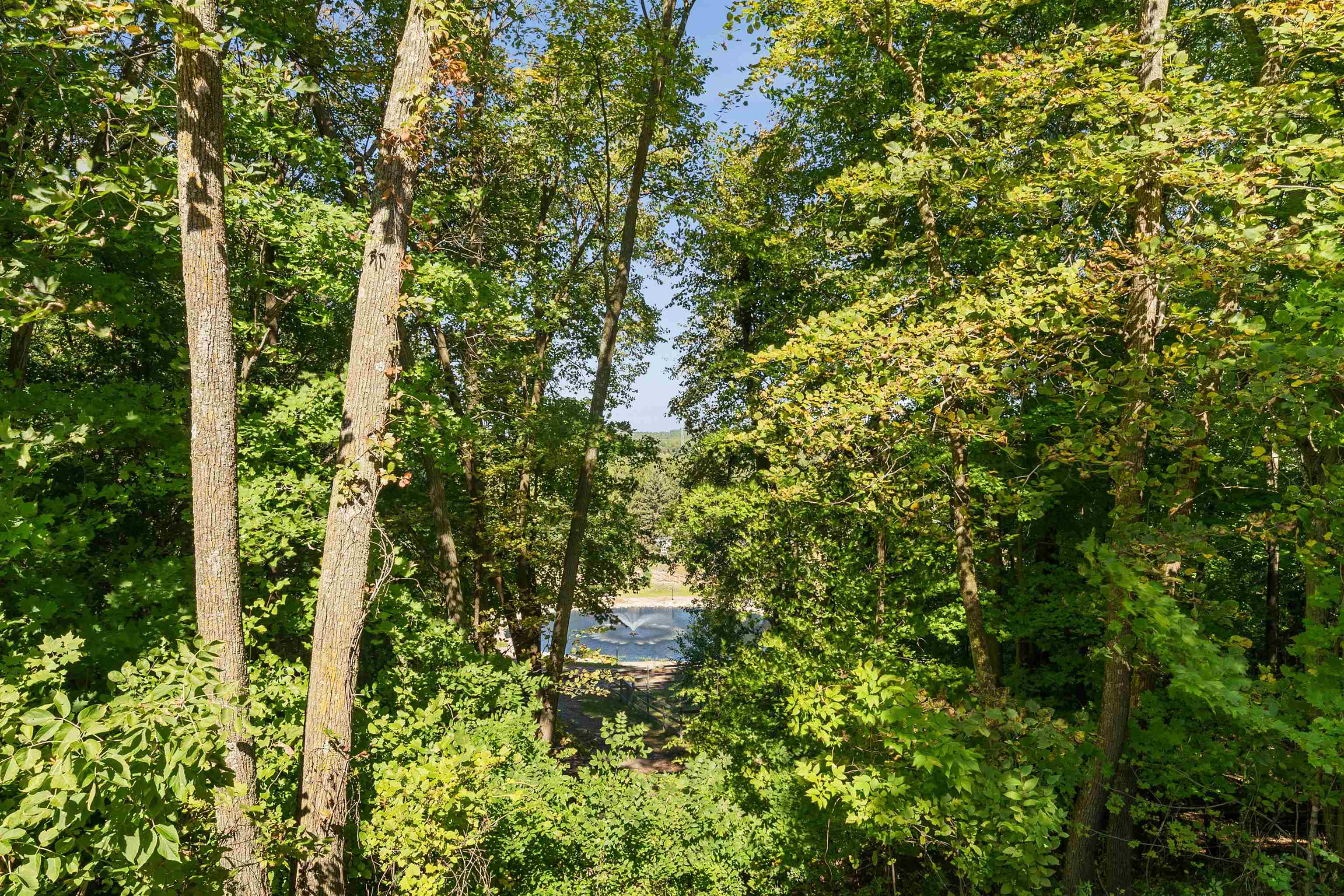 Property photo 51