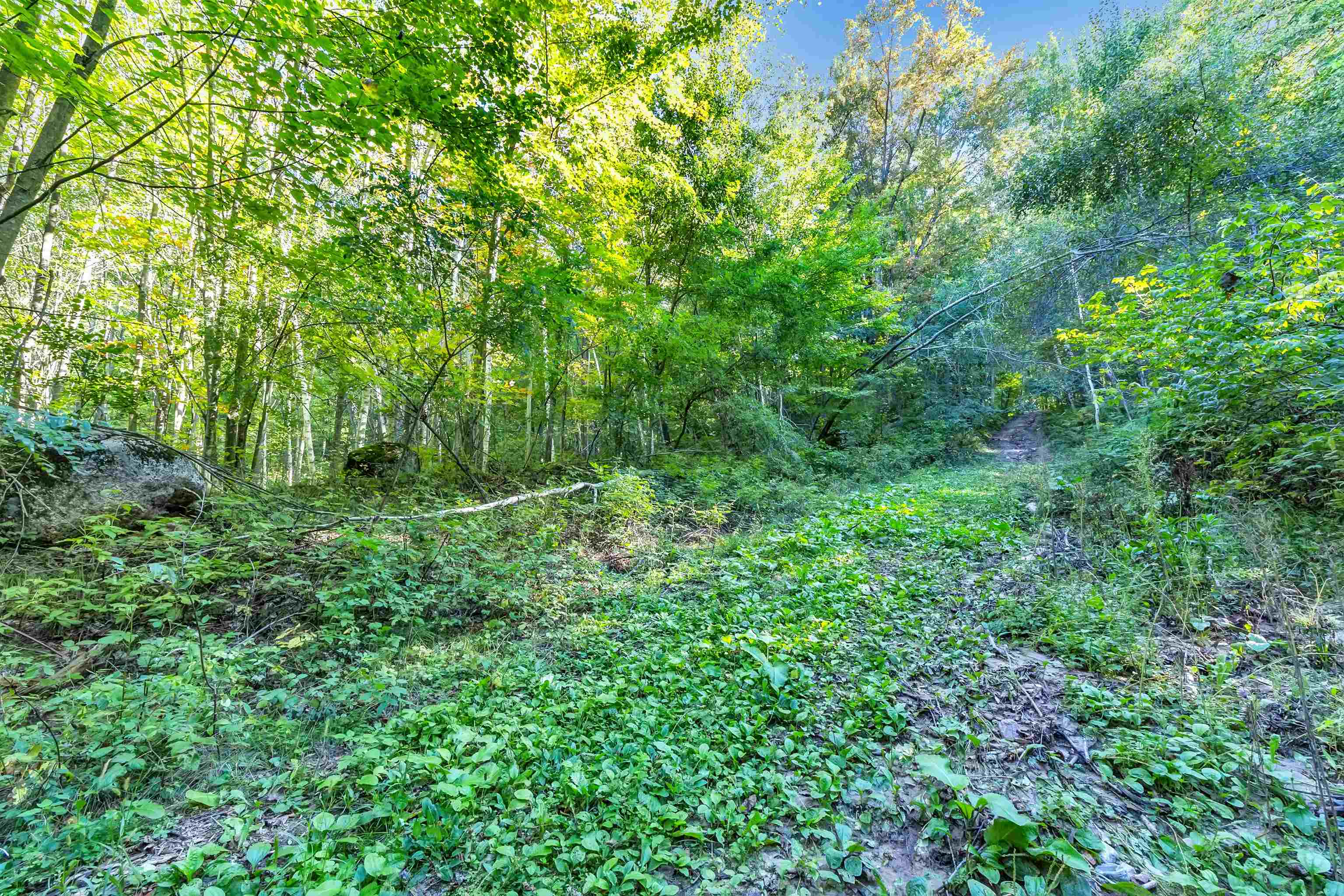 Property photo 27