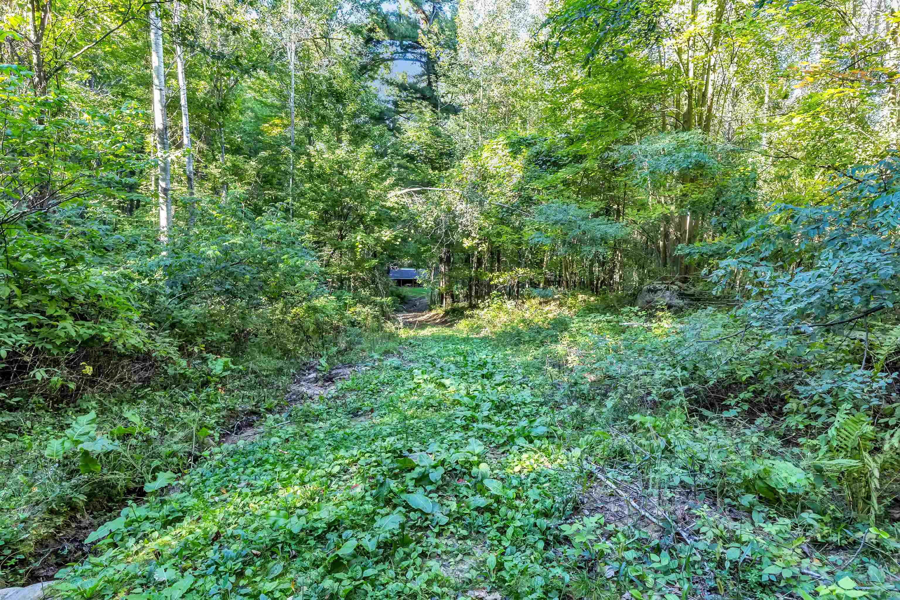 Property photo 36