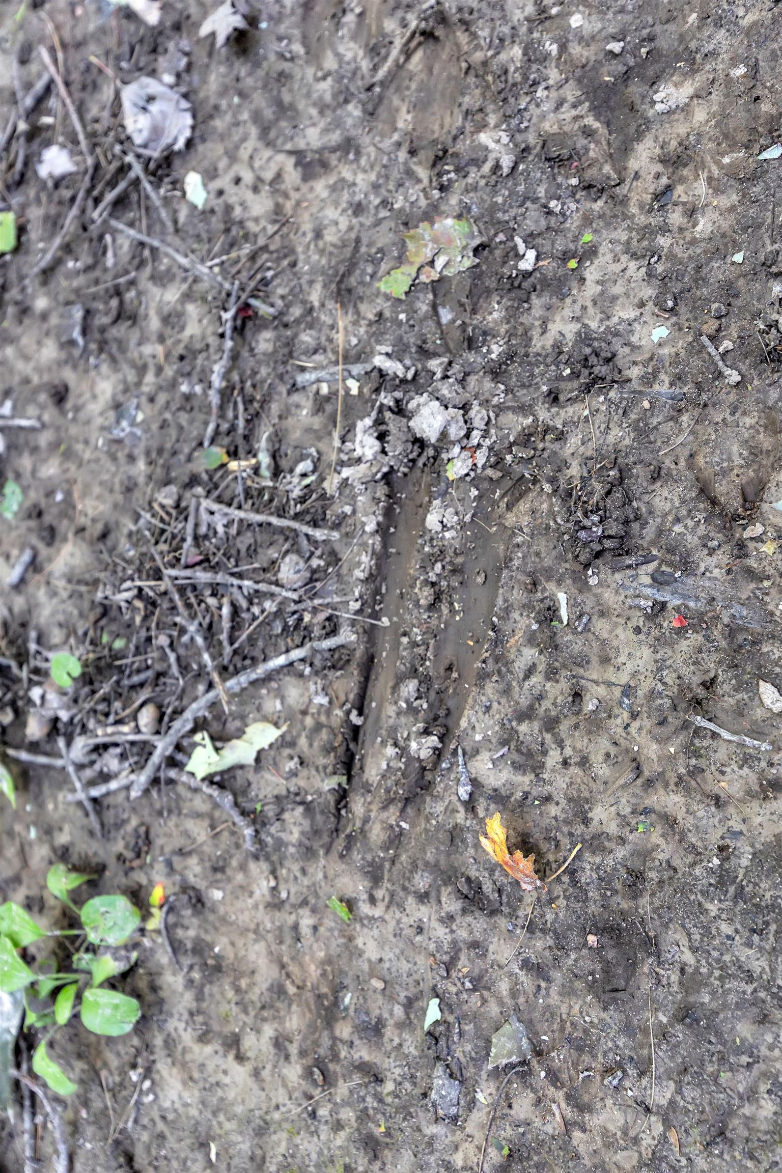 Property photo 48