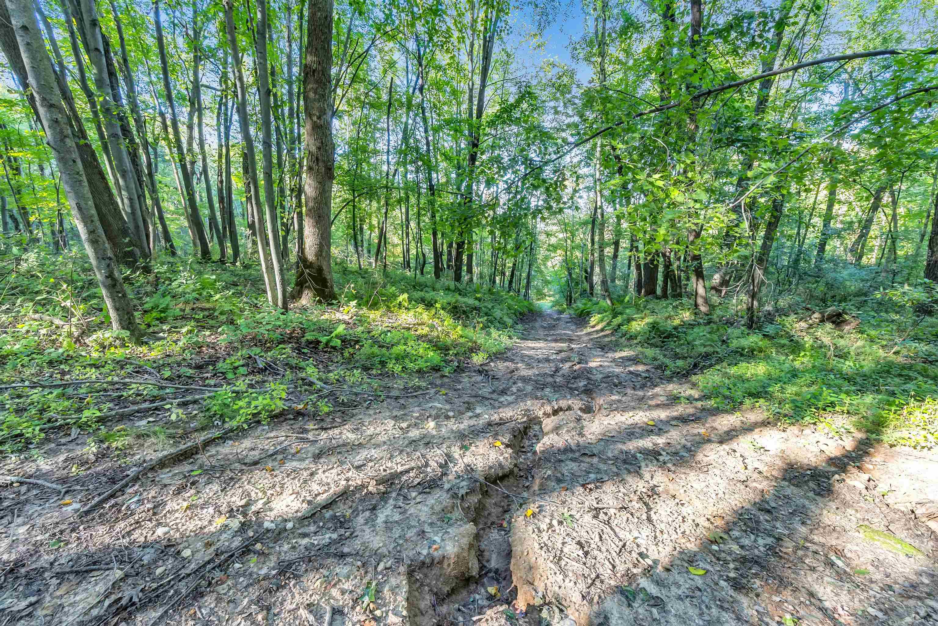 Property photo 38