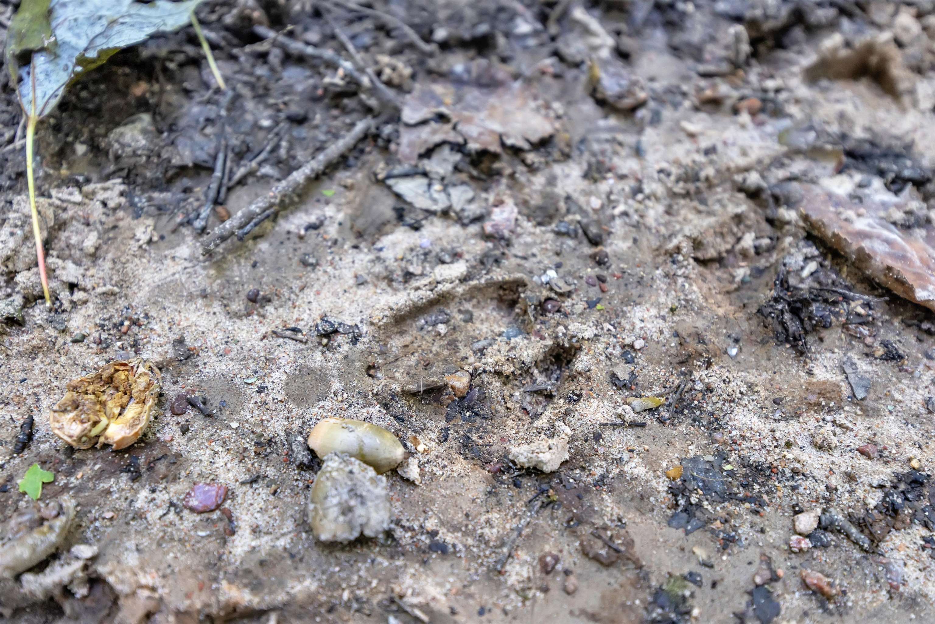 Property photo 45
