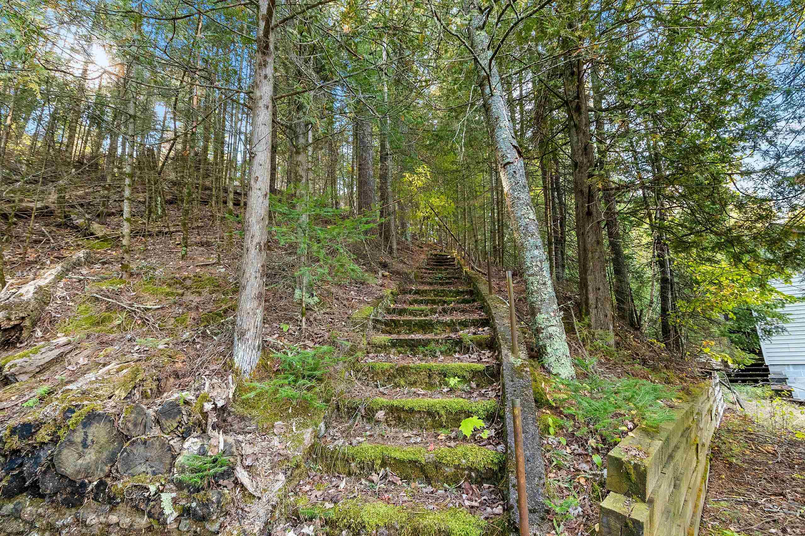 Property photo 61