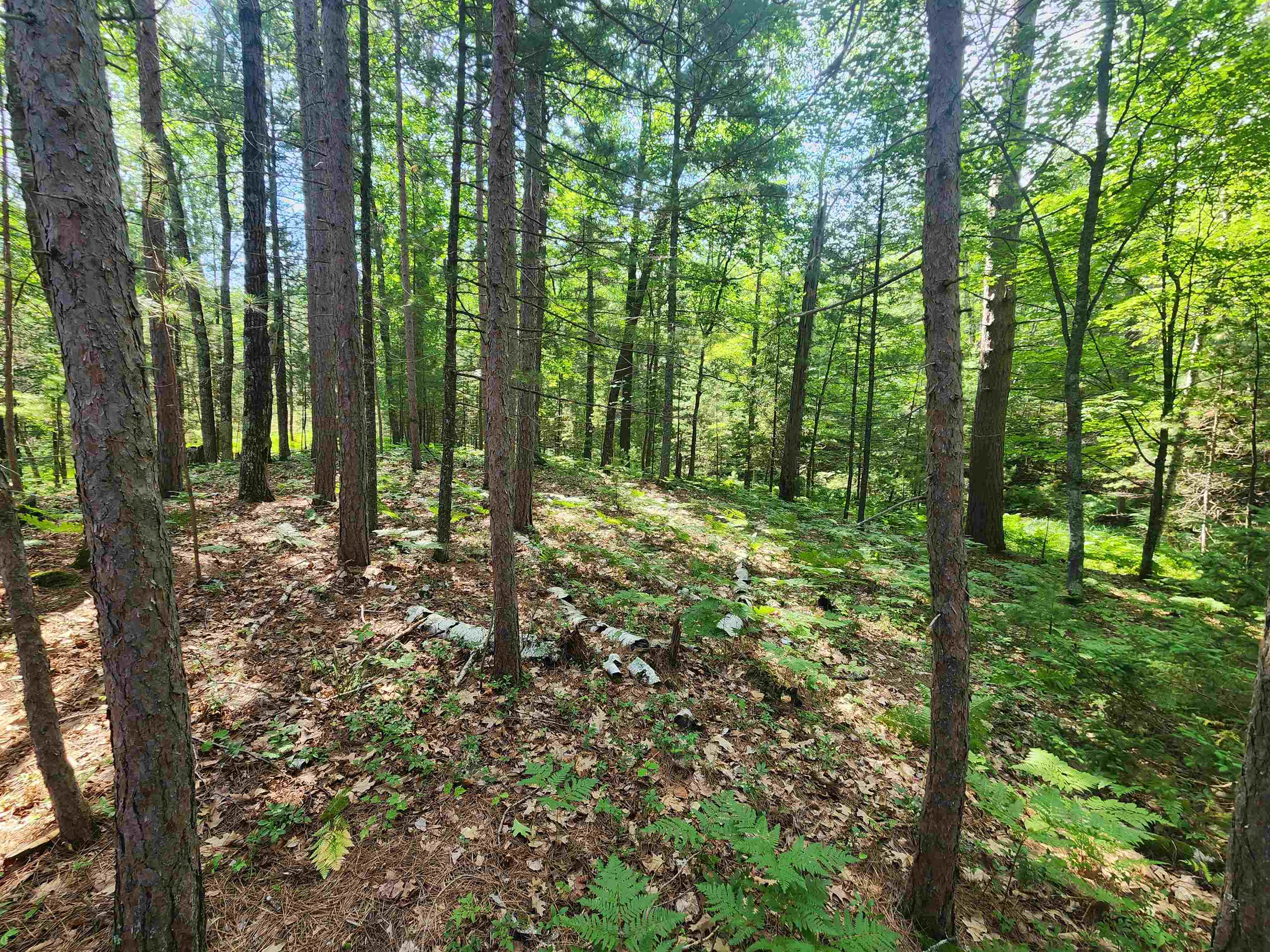 Property photo 23