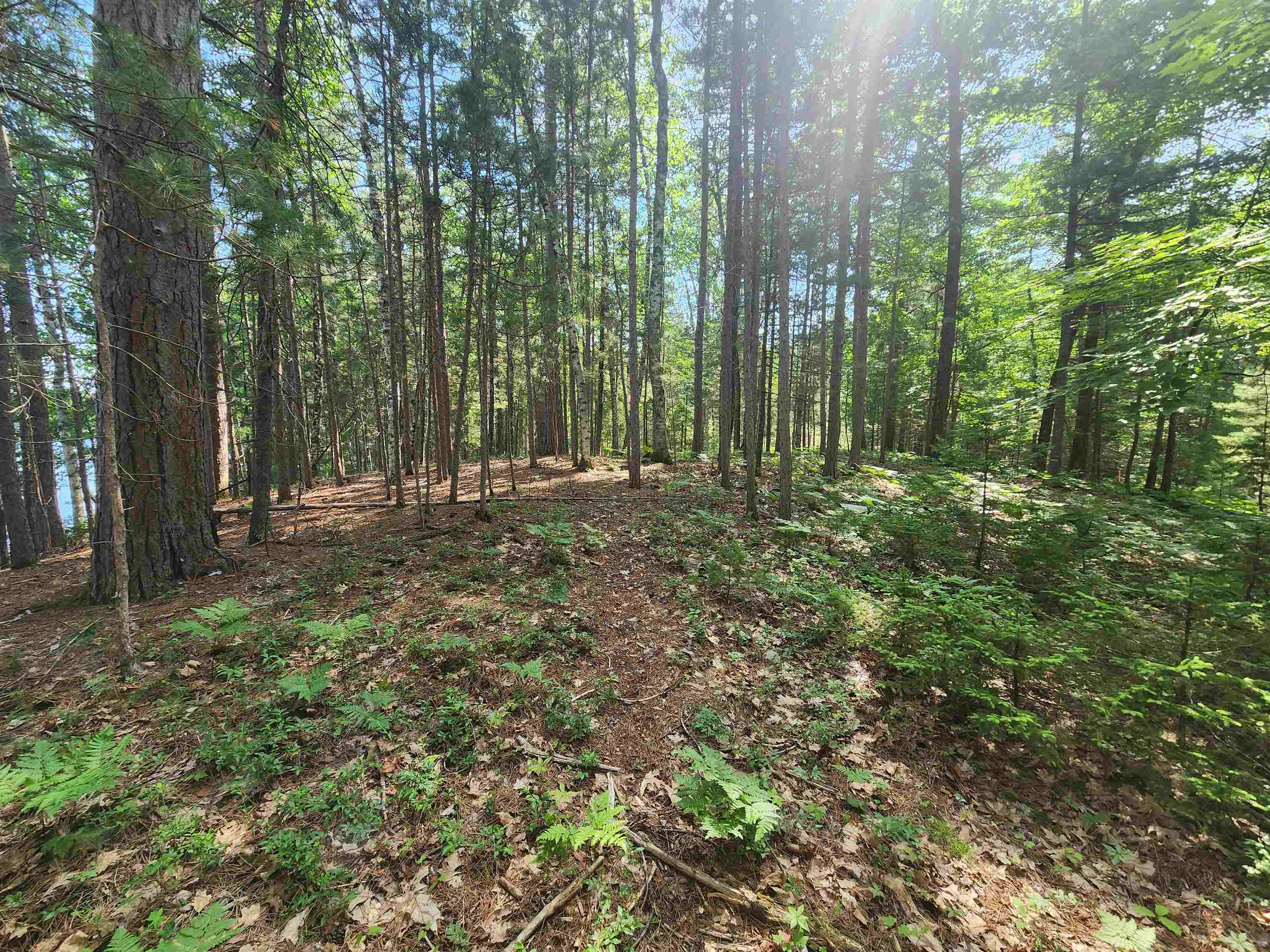 Property photo 24
